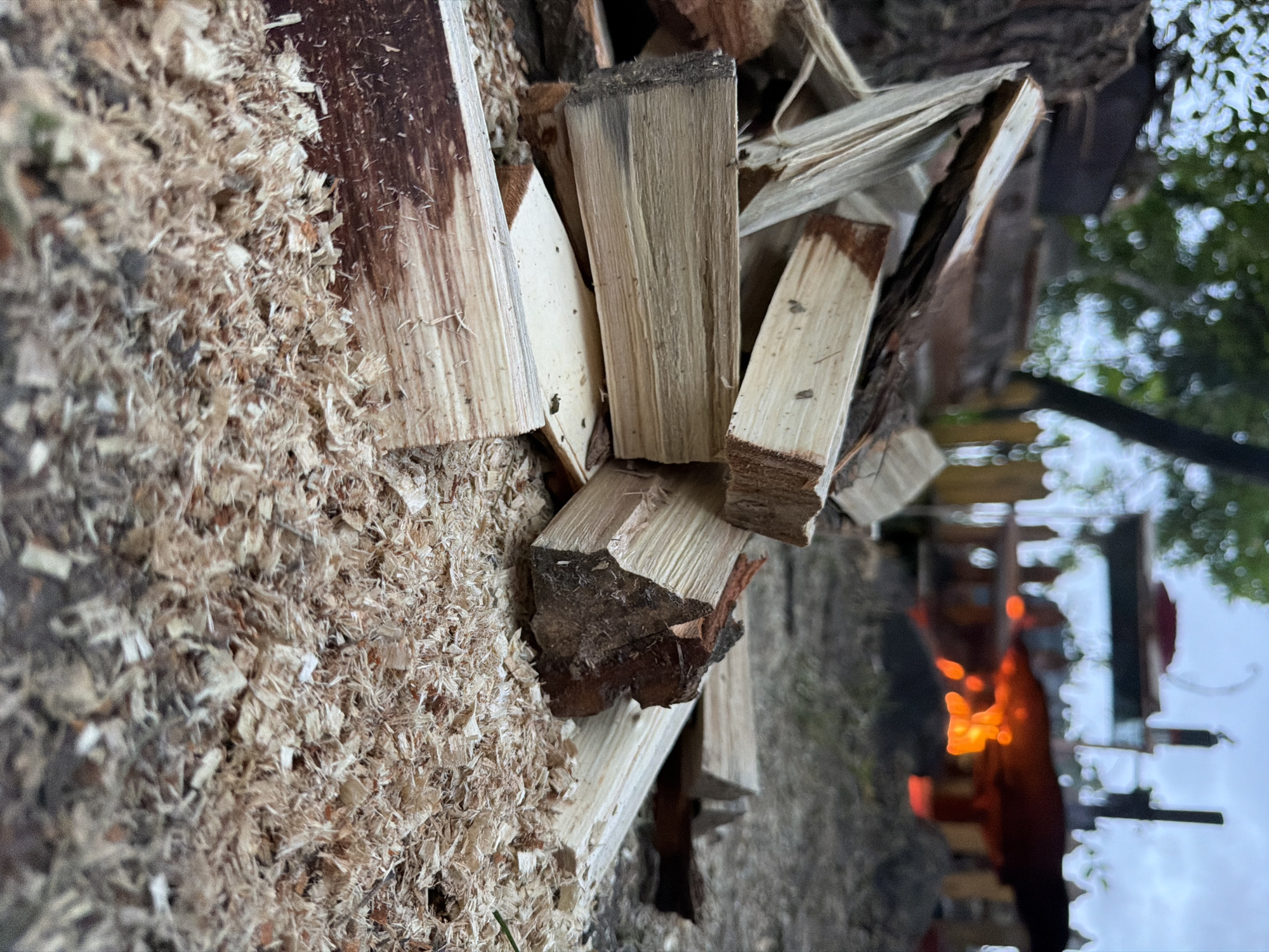 A low-angle, close-up shot focuses on a pile of chopped wood and wood shavings on the ground. In the background, a fire burns brightly within a rustic metal structure, partially obscured by a wooden fence and trees. The scene appears to be an outdoor area, possibly a backyard or campsite. The lighting suggests it is either early morning or late evening.