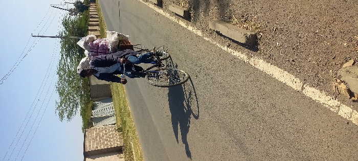 A single male individual is depicted riding a dark-framed bicycle on a paved asphalt road in Nairobi, Kenya, under a clear blue sky. The subject wears a light-colored collared shirt, a dark blue jacket, and blue jeans, and is actively pedaling. The bicycle's rear rack is heavily loaded with multiple bulky items contained within a dark brown crate, all wrapped in white and translucent plastic sheeting, some bundles exhibiting a pinkish hue. The subject and bicycle cast a distinct shadow to their left on the road surface. The road features a faded white edge line on the right, bordered by coarse concrete curb blocks. The left background includes low walls constructed from unplastered grey concrete blocks, several large light-grey panels leaning vertically, and green trees beyond. The right background features a parallel fence of similar concrete blocks, utility poles with multiple overhead lines, and additional green foliage.