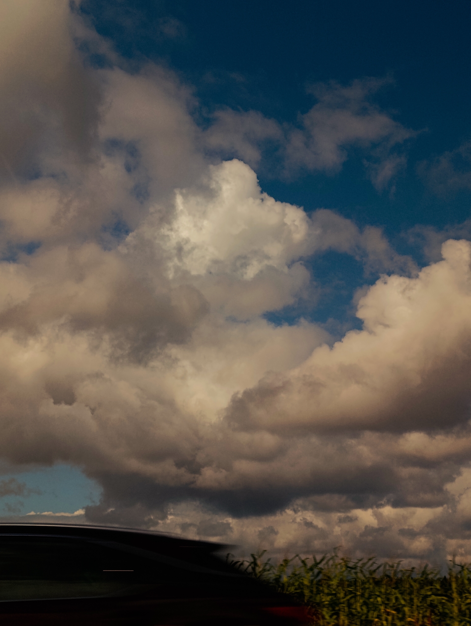 The image depicts a dynamic sky filled with a mix of dark, dramatic storm clouds and brighter, fluffy cumulus clouds. The sky transitions from a deep, rich blue at the top to a more muted, overcast appearance lower down. In the foreground, a blurred, dark object, likely the roof of a vehicle, cuts across the bottom of the frame, creating a sense of motion. Below this, a line of vibrant green corn stalks is visible, also slightly blurred, suggesting movement or a shallow depth of field. The overall impression is one of a dramatic sky on a journey through a rural or agricultural landscape.