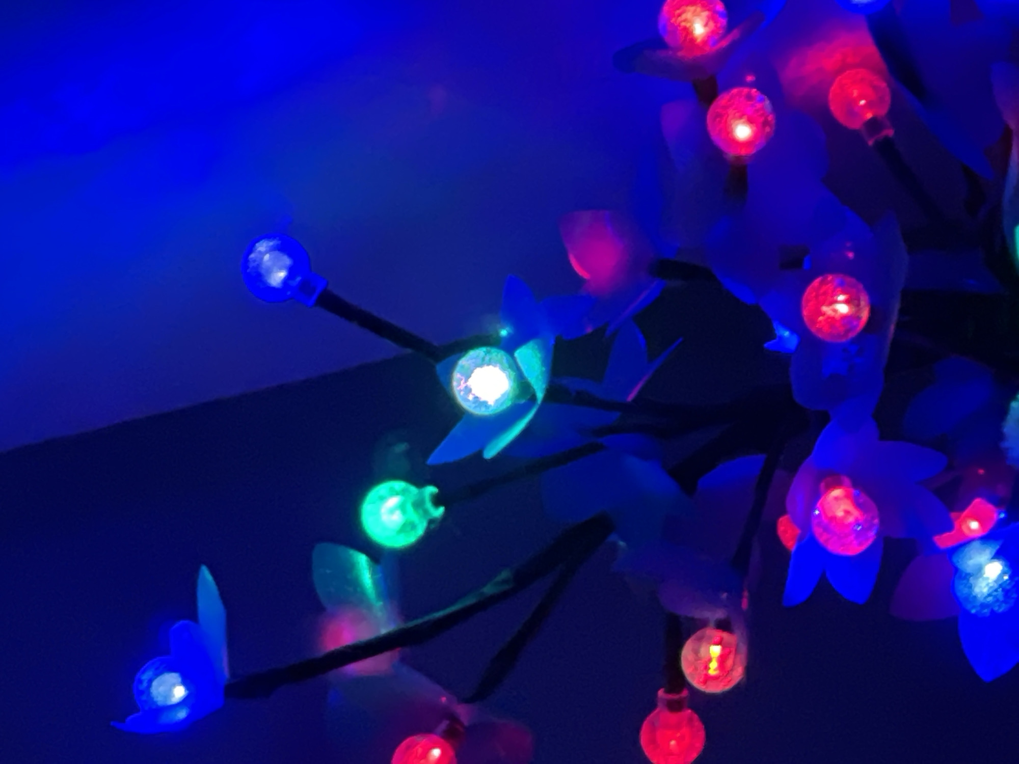 The image shows a close-up of a decorative light fixture featuring multiple small, brightly colored LED lights resembling flowers. The lights are predominantly blue, red, and green, with some appearing pink or white due to reflection and diffusion. These lights are attached to thin stems that emerge from a central structure, partially visible at the bottom and right of the frame. The background is a dark, gradient blue, suggesting a dimly lit environment. The overall impression is one of artificial illumination and a festive or decorative setting. The image does not contain any discernible elements that would indicate a specific city or location.