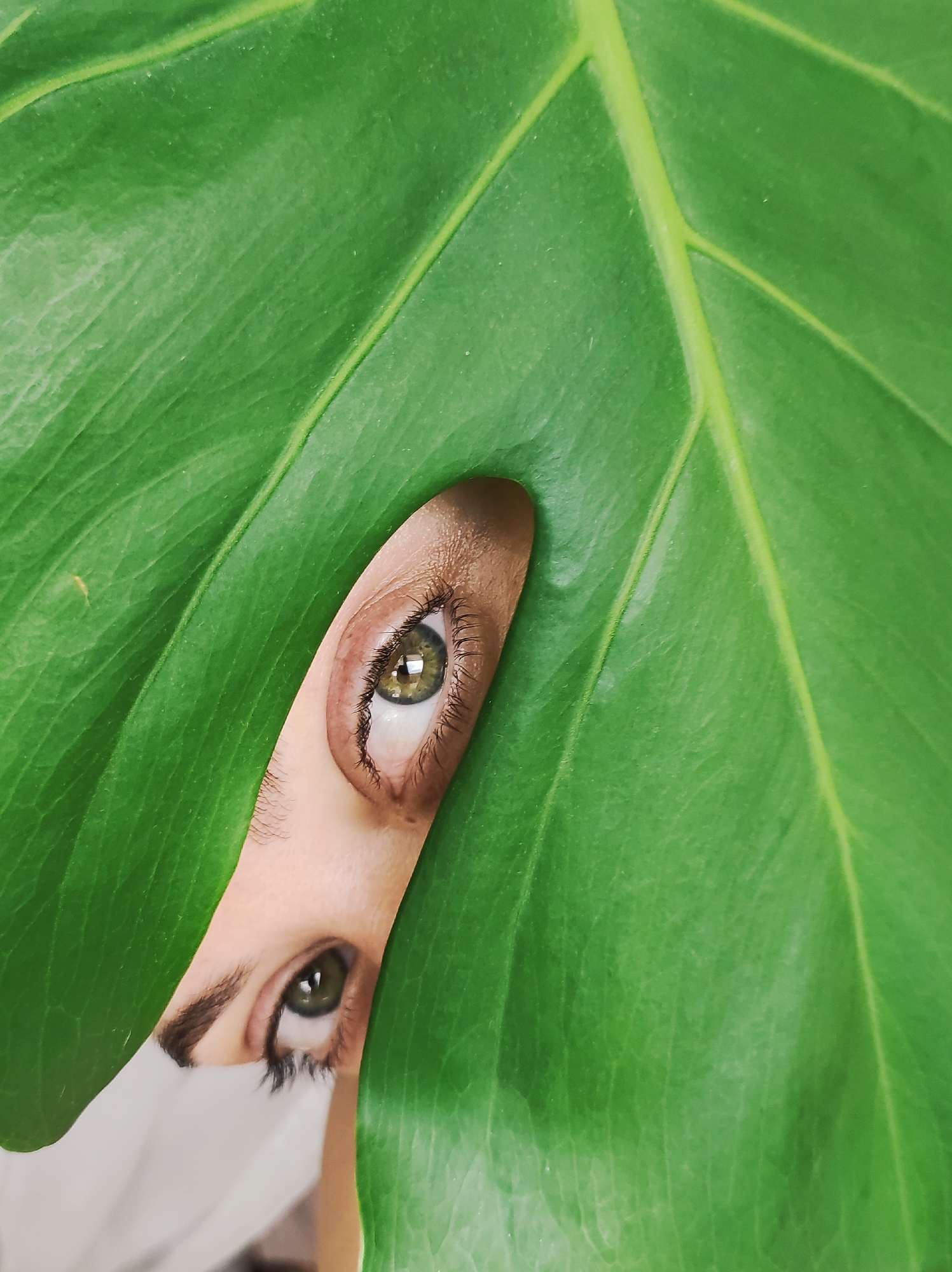 The image shows a close-up of two eyes peeking through a large, vibrant green leaf. The leaf has prominent veins and a slightly glossy texture. The eyes are the primary subject, with one eye more prominently displayed than the other. Both eyes are a striking green color and appear to be looking out from behind the leaf. The skin around the eyes is fair and well-lit. The background is out of focus, but appears to be a light-colored surface, possibly fabric. There is no information in the image that would allow for the identification of a specific location in Chaikovsky, Russia.