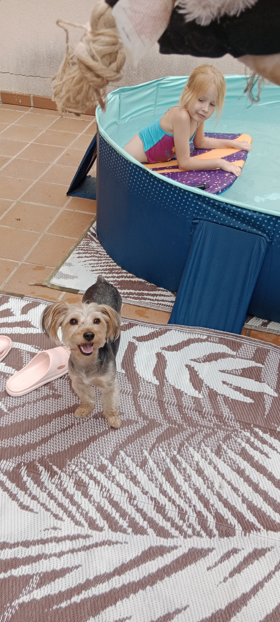 A young girl with blonde hair, wearing a blue and pink swimsuit, lies on a purple and orange float in a small, inflatable pool. The pool is set up on a tiled patio outdoors. Next to the pool, a small, tan Yorkshire Terrier stands on a striped mat, looking directly at the camera with an open mouth and a happy expression. A pair of pink slides are visible on the mat to the left of the dog. In the background, a rough, tan rope hangs down, and a white-walled building with a tiled roof is visible. The lighting suggests it is daytime, likely sunny. The scene appears to be a relaxed, recreational moment in a backyard or patio setting.