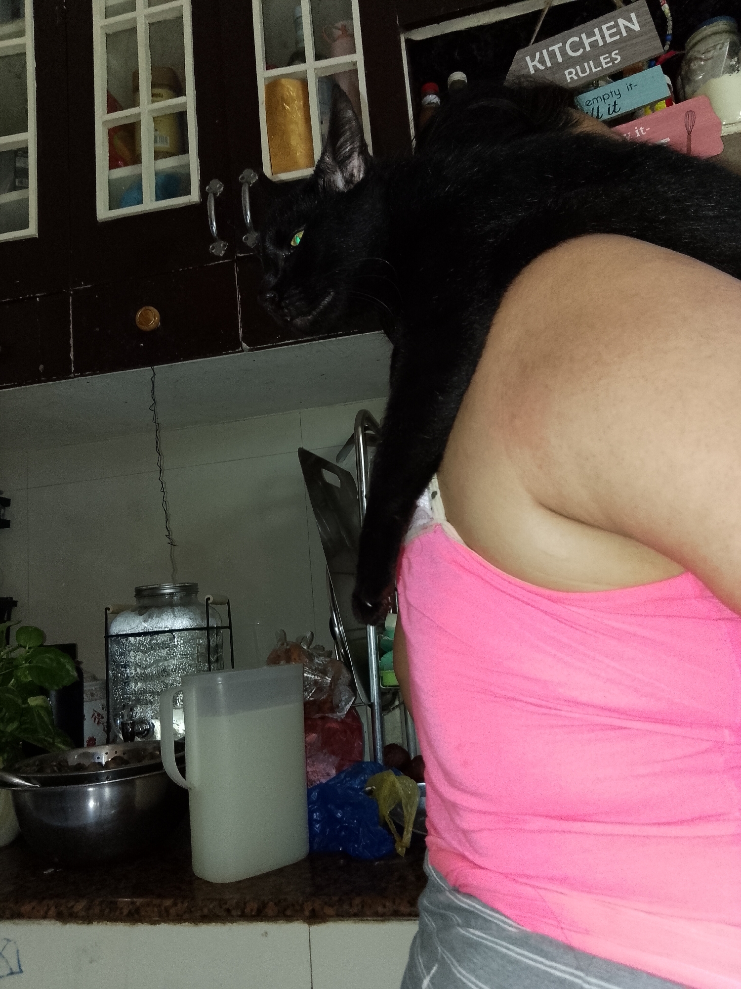 This indoor photograph depicts a casual domestic scene in a kitchen in Davao City, Philippines, likely taken during the evening or night due to the dim lighting. A sleek black cat with striking green eyes is comfortably perched on the right shoulder and upper back of a person, whose torso is partially visible on the right. The person is wearing a vibrant pink top and grey striped bottoms, with their back mostly turned towards the viewer.
The cat's head is angled towards the left, appearing observant of the kitchen environment. In the background, dark brown kitchen cabinets with white-framed glass doors are visible, containing various items. Below the cabinets, a speckled brown counter holds a stainless steel bowl with dark contents, a clear plastic pitcher filled with a pale liquid, and a large glass jar in a metal stand, possibly containing ice. A small green plant and several plastic bags are also present on the counter. A thin, dark, squiggly wire hangs from the cabinet area. Decorative wooden signs are visible behind the cat; one clearly states "KITCHEN RULES," and another below it is partially visible, reading "empty it- ll it." The image captures a relaxed moment between a pet and its owner within a functional home kitchen.