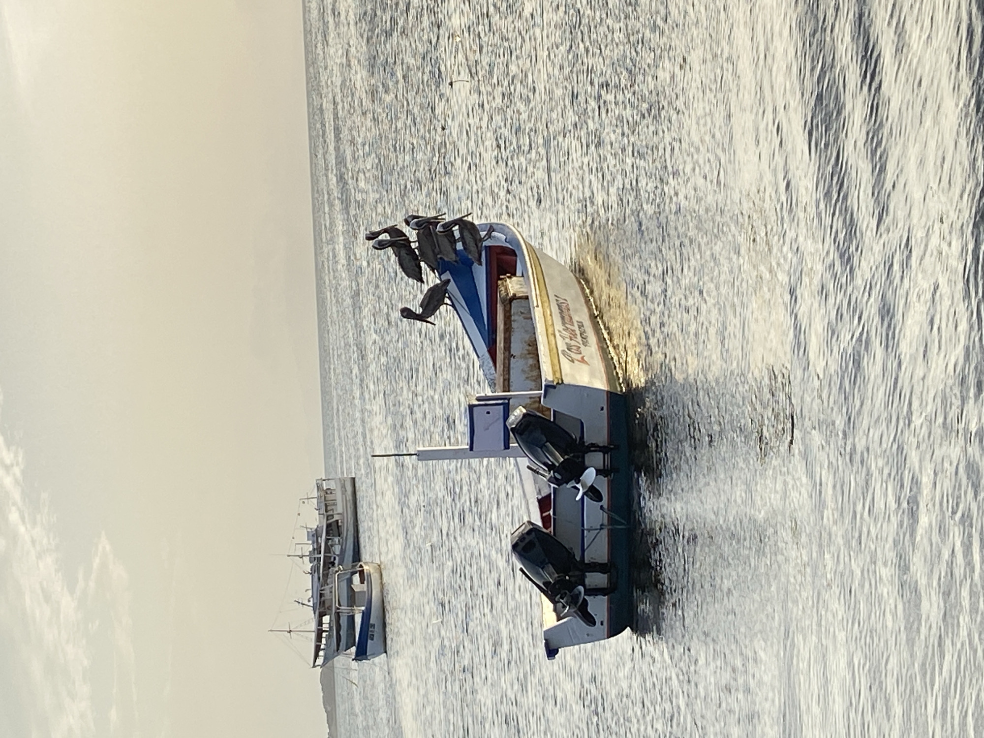 The image shows a calm bay with several boats anchored in the water. In the foreground, a small fishing boat is visible, its stern facing the camera. The boat has two outboard motors mounted on the back. Several pelicans are perched on the bow of this boat, some standing and some sitting. The boat is white with blue trim and has the name "Los Hermanos" written on its side. In the background, two larger boats are also anchored. The water is calm with gentle ripples, reflecting the soft, hazy light of what appears to be late afternoon or early morning. The horizon is visible in the distance, with landmasses or islands barely discernible against the pale sky. The setting is likely the bay of Juan Griego, Venezuela, given the presence of fishing boats and pelicans in this coastal area. There are no people visible in the image.