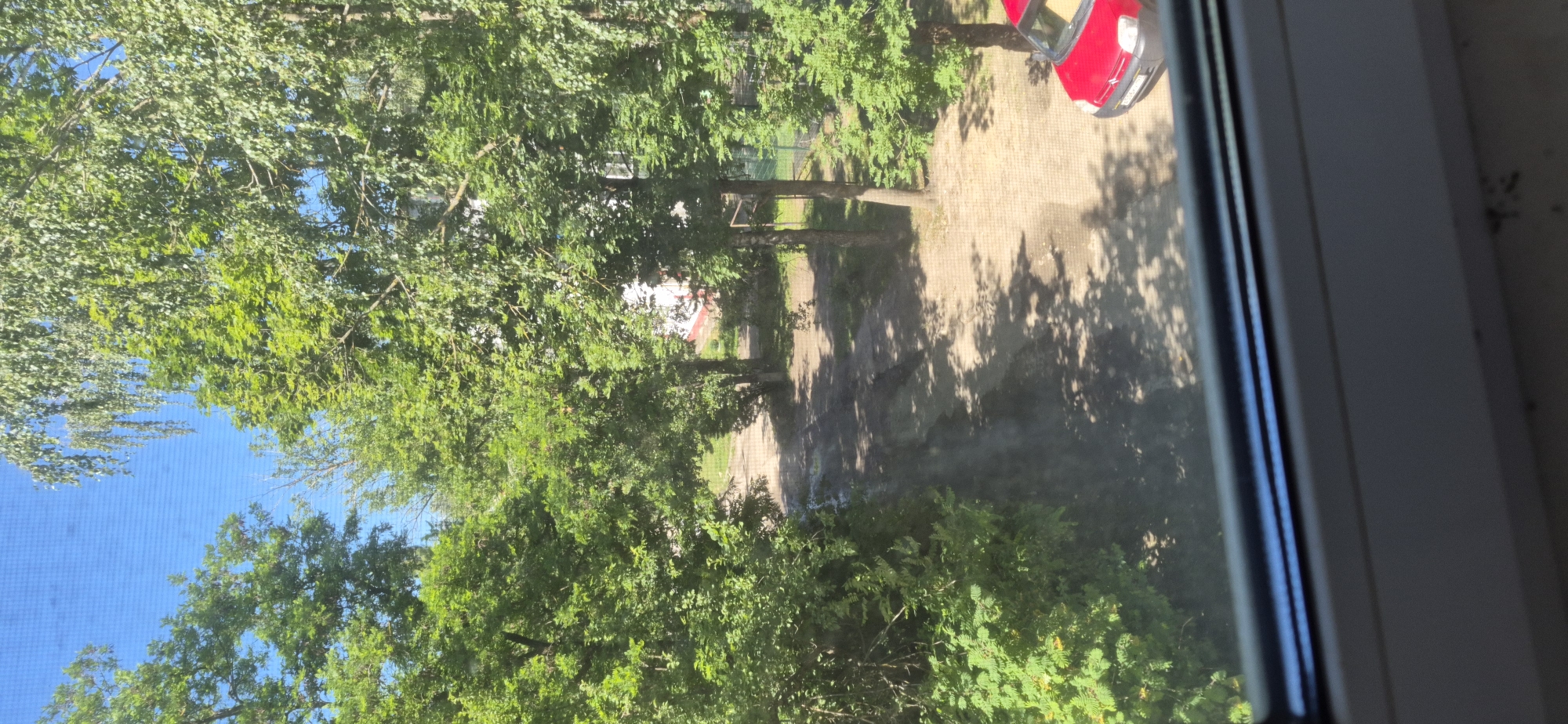 The image shows a view from a window overlooking a courtyard in Dyatkovo, Russia. The courtyard features a dirt path with some puddles, bordered by lush green trees and foliage. In the background, a white building with red trim is visible, and to the right, a red car is parked on a paved area. The sky is blue with some hints of sunlight filtering through the leaves, casting shadows on the ground. The window frame is visible in the foreground.
