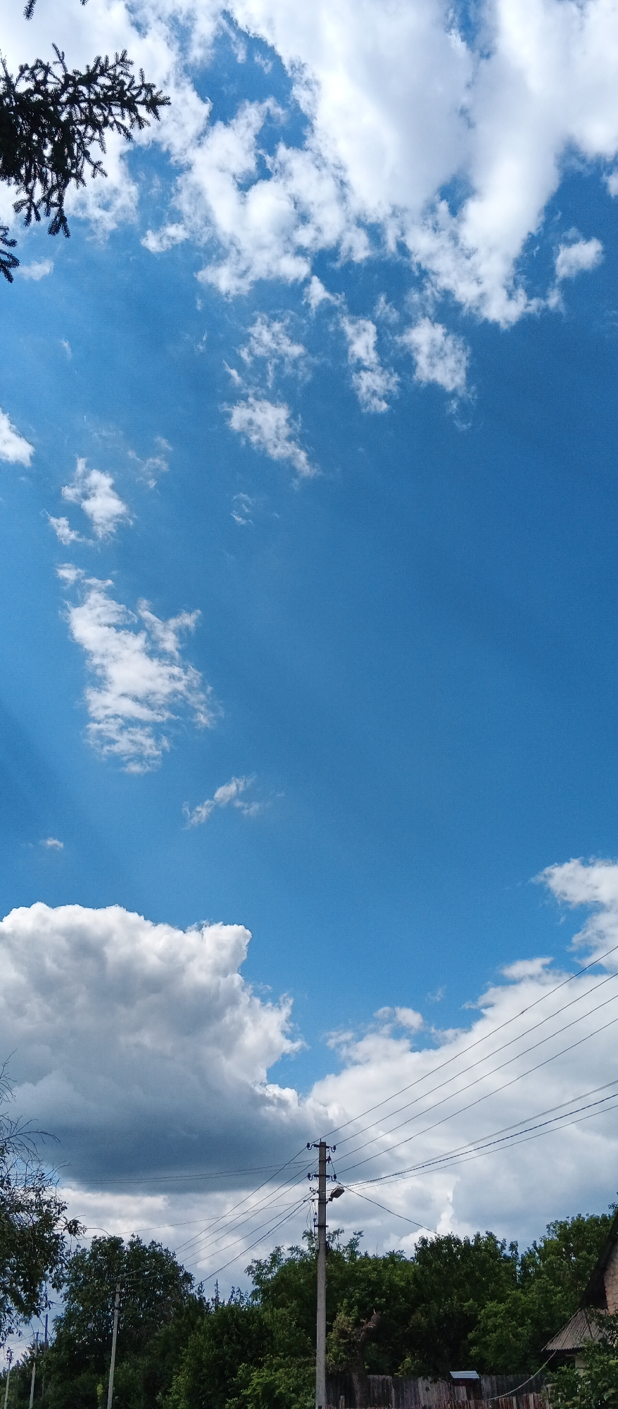 The image depicts a bright, sunny day with a vibrant blue sky filled with scattered white clouds. In the upper left corner, a dark green pine branch is visible against the sky. The lower portion of the image reveals a landscape with a dense line of green trees. A wooden fence runs along the bottom edge of the frame. A utility pole with multiple electrical wires stretches across the middle ground, with another pole visible further to the left. The scene appears to be in a rural or suburban area, consistent with the location of Popivka, Ukraine. There are no people or specific actions depicted.
