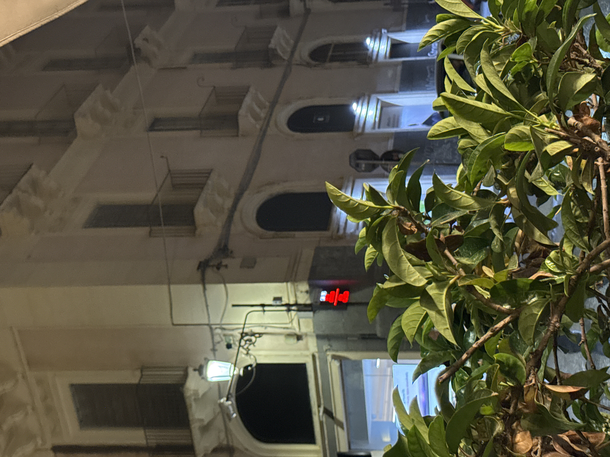Here is a description of the image.
The photograph shows a building facade with a red neon sign reading "48" mounted near the top, partially obscured by green foliage. The building is off-white and features arched windows and decorative molding. Below the sign is a vintage-style street lamp and adjacent windows. The leaves and branches of a tree are visible in the right foreground. The location is identified as Unknown, Unknown.