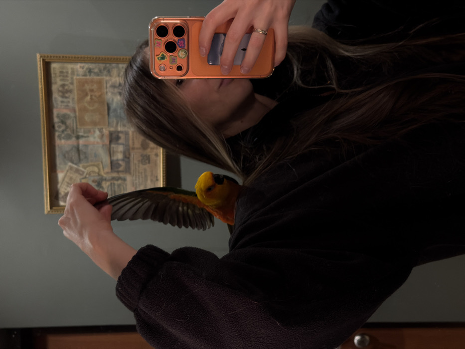 A person in a black sweater takes a selfie in a mirror with an orange phone case decorated with stickers. The person has long brown hair with blonde highlights. A colorful parrot with a yellow head and green wings perches on their shoulder, and its wing is held by the person's left hand. Behind them, a framed artwork hangs on the wall above a wooden dresser.