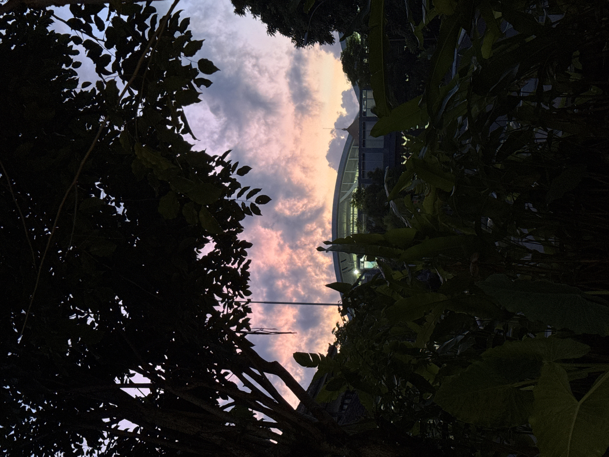 The image shows a view of a sky with colorful clouds framed by dark tree foliage. In the distance, a building with a curved roof is visible, possibly a stadium or large hall. The picture appears to be taken at dusk or dawn, given the lighting conditions. Location is in the city of Unknown, Unknown.