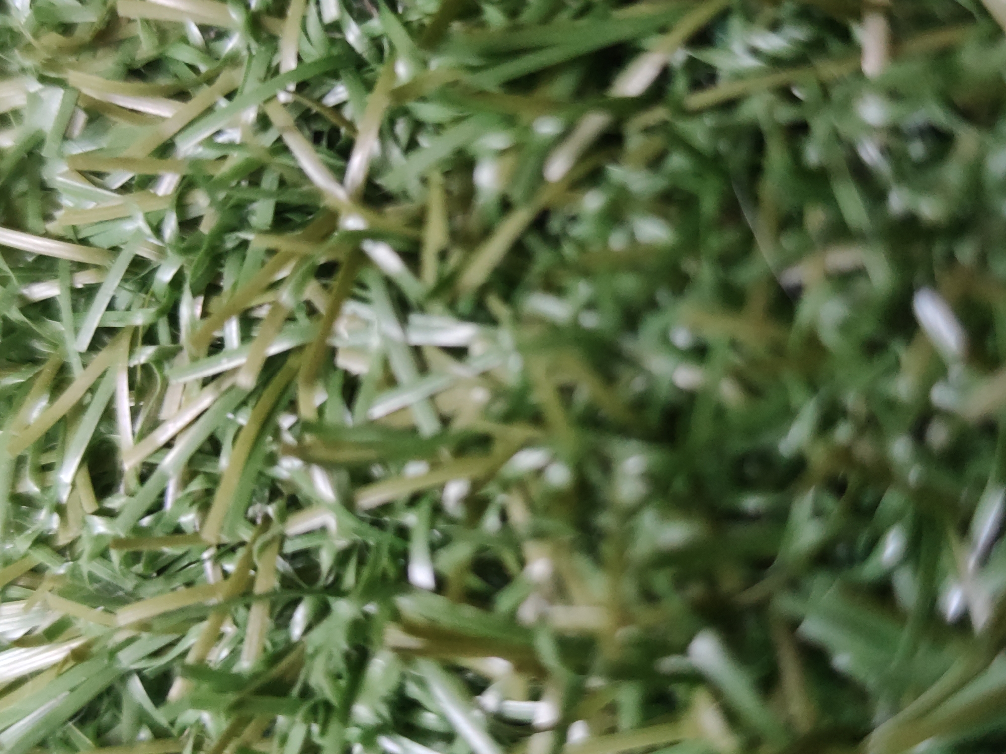 The image shows a close-up view of artificial turf. The turf is a mix of green and tan fibers. The location in the city of Unknown, Unknown is unknown.