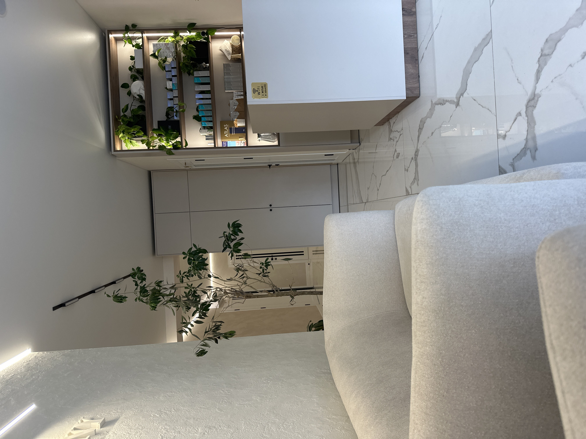 A light-colored sofa is in the foreground of a clean, modern reception area. Behind the sofa, a tall, leafy plant stands near a wall with textured detailing and integrated lighting. To the right, a white reception desk features a prominent "WiFi" sticker. Behind the desk, a tall shelving unit displays numerous skincare products, decorative plants, and a white skull. The floor is white marble with prominent grey veining. In the background, two large doors are visible, and a hallway extends to a further doorway. The overall impression is of a well-lit, well-maintained beauty salon or spa.
