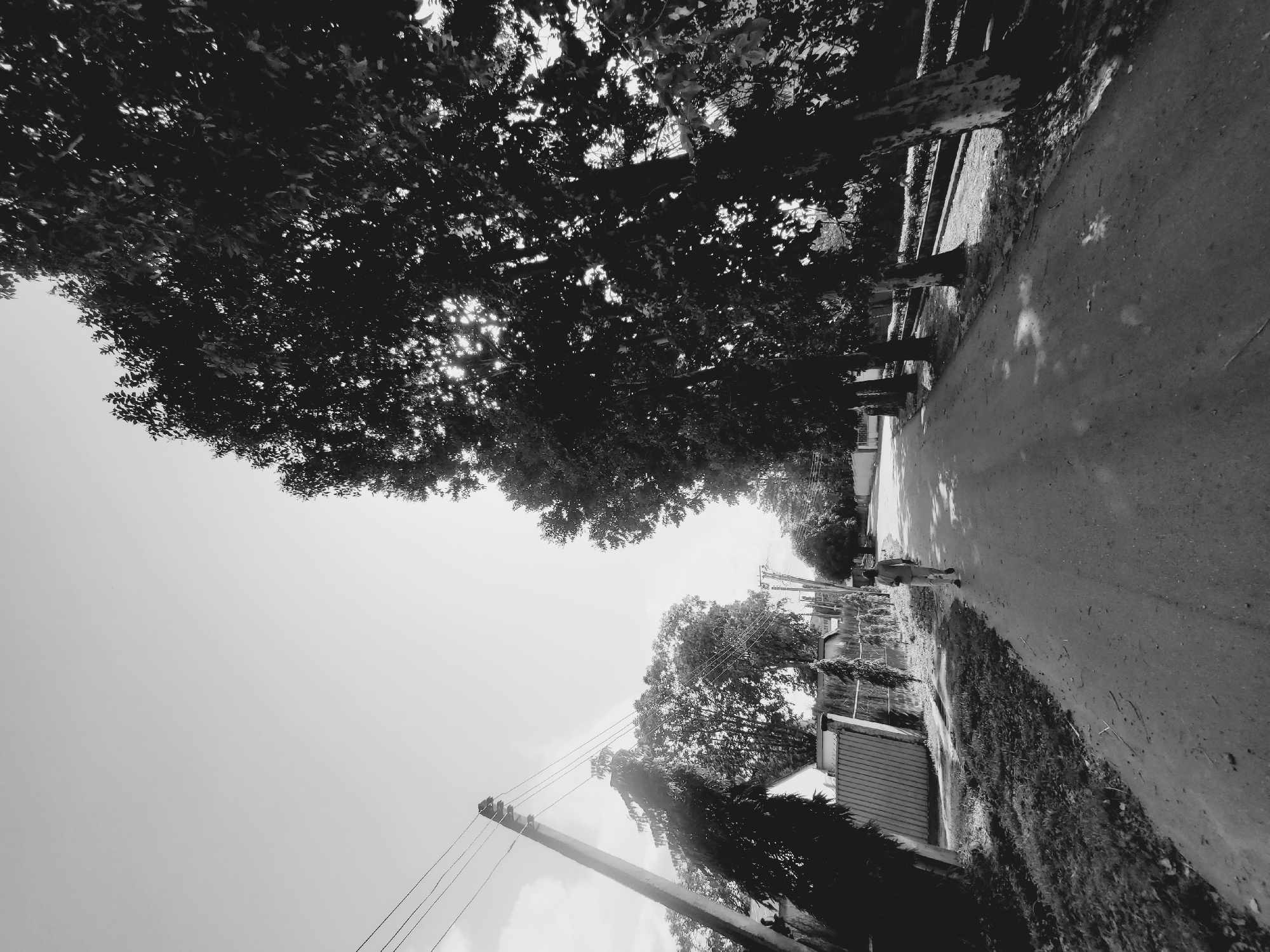 In a black and white photograph, a person walks down a paved road lined with trees on the right and a fence and buildings on the left. The scene appears to be a residential street in Jos, Nigeria, bathed in bright sunlight that casts dappled shadows on the road. The person, seen from behind, is wearing light-colored clothing and appears to be walking away from the camera. The trees on the right are tall and dense, with sunlight filtering through their leaves. The left side of the road features a metal fence, some vegetation, and houses with peaked roofs. A utility pole with wires is also visible on the left. The overall impression is one of a quiet, sunny day in a suburban or semi-rural area.