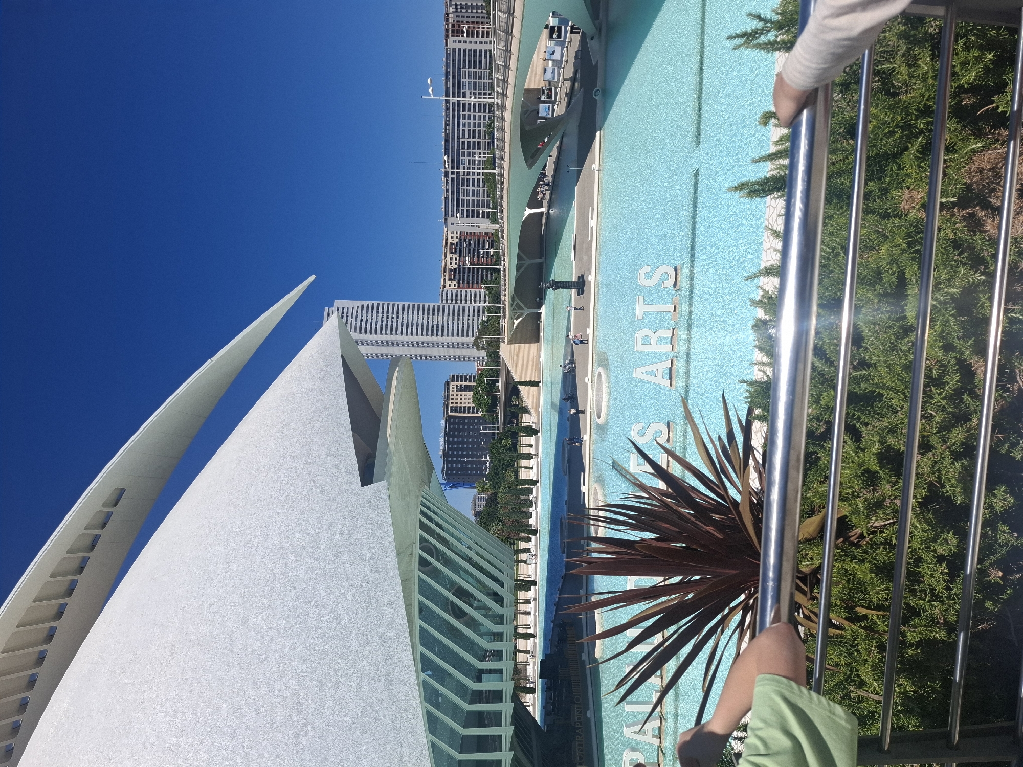The image shows an outdoor view of the City of Arts and Sciences in Valencia, Spain. The architecture is modern and white, with the distinct arched structure of the Hemisfèric visible on the left. A turquoise pool of water stretches across the center, with the words "Arts" visible on the surface. Tall buildings and greenery fill the background. A metallic railing is visible in the foreground with a person's hand and arm gripping it. Green shrubs are seen between the rail posts, and a brown spiky plant is located in front of the water. The sky is a clear, deep blue.