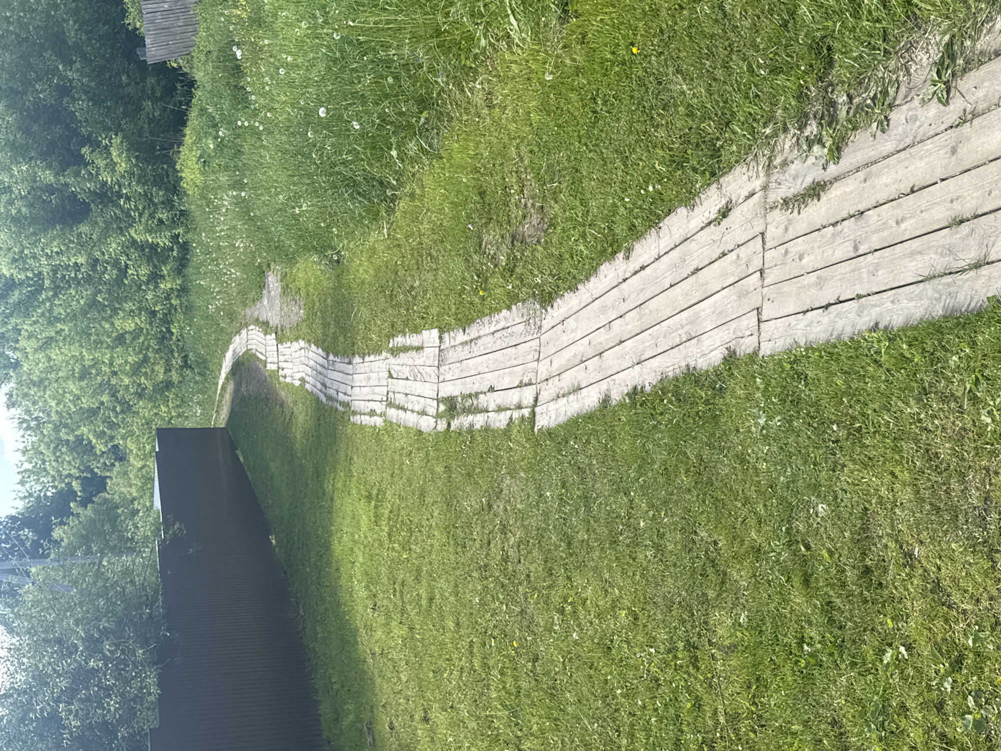 The image displays a winding wooden boardwalk traversing a lush green landscape. The path, composed of light-colored wooden planks, extends from the foreground and gently curves towards the left into the distance. Patches of grass and small weeds grow between some of the planks, indicating natural integration and slight wear.
On both sides of the boardwalk, vibrant green grass covers the ground, appearing thick and healthy. Scattered within the grass are small white and yellow wildflowers, adding to the natural beauty. To the left of the path, a dense expanse of trees with rich green foliage suggests a wooded area or forest border. In the lower-left corner, a dark-colored building or structure with a corrugated roof is partially visible, nestled among the trees. Further along the path on the right side, a light-colored structure, possibly a stone or concrete retaining wall, can be seen.
The scene is brightly lit by natural sunlight, indicating a clear, sunny day. There are no people or animals visible, and no specific activity is taking place, creating a tranquil and inviting atmosphere. The overall setting is an outdoor, natural environment, likely a park, trail, or rural area in Красные Баки, Russia. No visible text is present in the image.