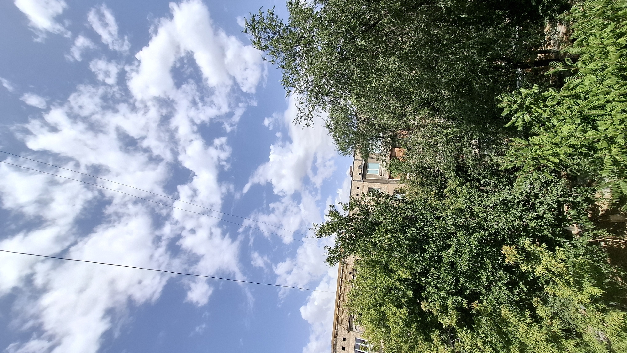 The image shows a view of a building in Shymkent, Kazakhstan, with trees in the foreground and a sky with clouds and overhead wires. The building appears to be a multi-story apartment complex made of brick. The trees are lush and green, with dense foliage. The sky is blue with scattered white clouds. The overhead wires are thin and black, running diagonally across the frame. The scene is likely taken from a residential area.