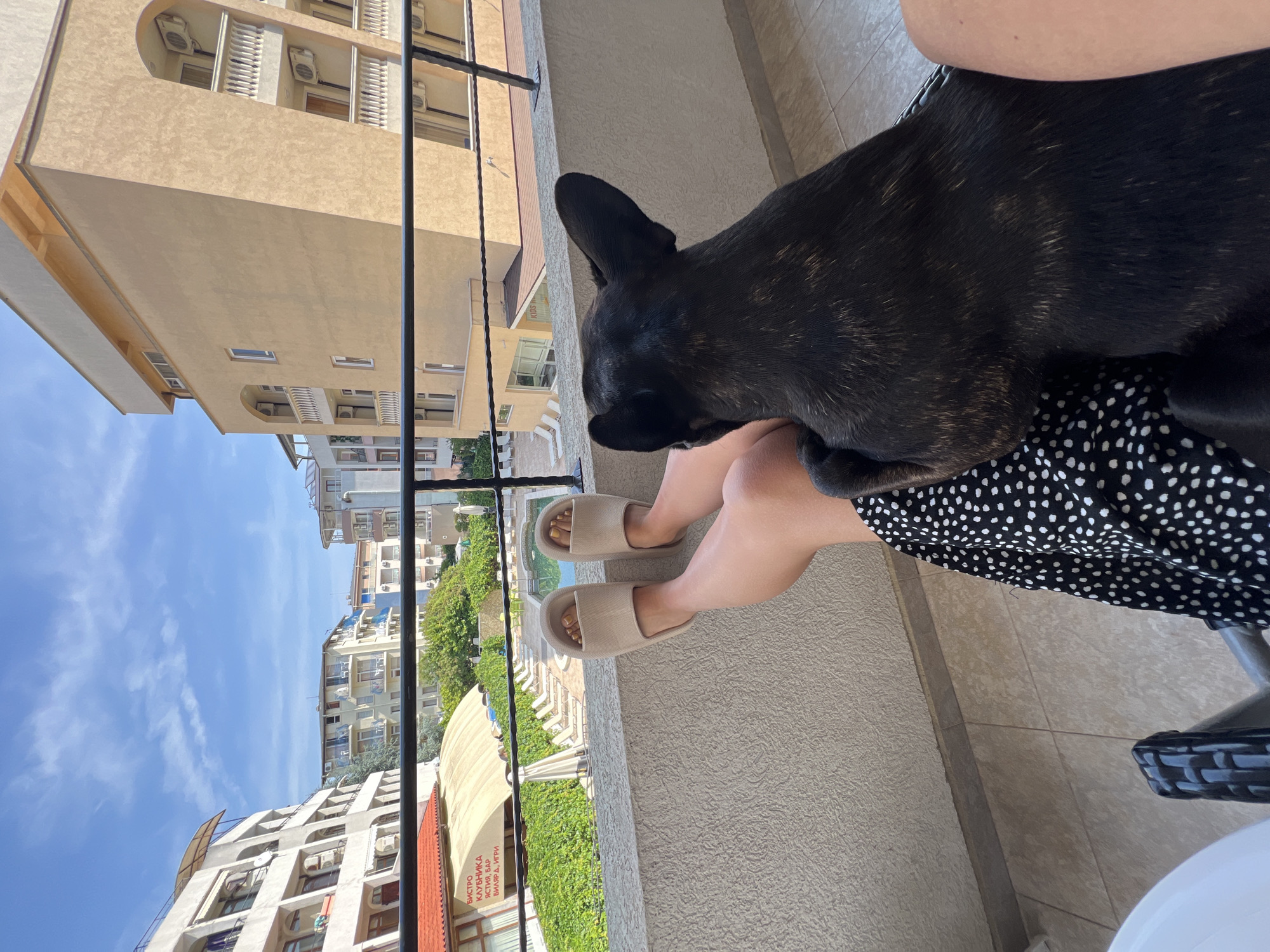 A first-person perspective shot shows a person's legs and feet wearing beige slides, seated on a balcony overlooking a resort in Primorsko, Bulgaria. A black brindle French bulldog is resting on the person's lap. The background reveals multiple resort buildings, a swimming pool, lounge chairs, and lush greenery under a blue sky with scattered clouds. A red awning with Cyrillic text that reads "BISTRO KLUBNIKA YASTIA, BAR BILIARD, IGRI" is visible on the left. The balcony has a gray textured wall and a black metal railing.