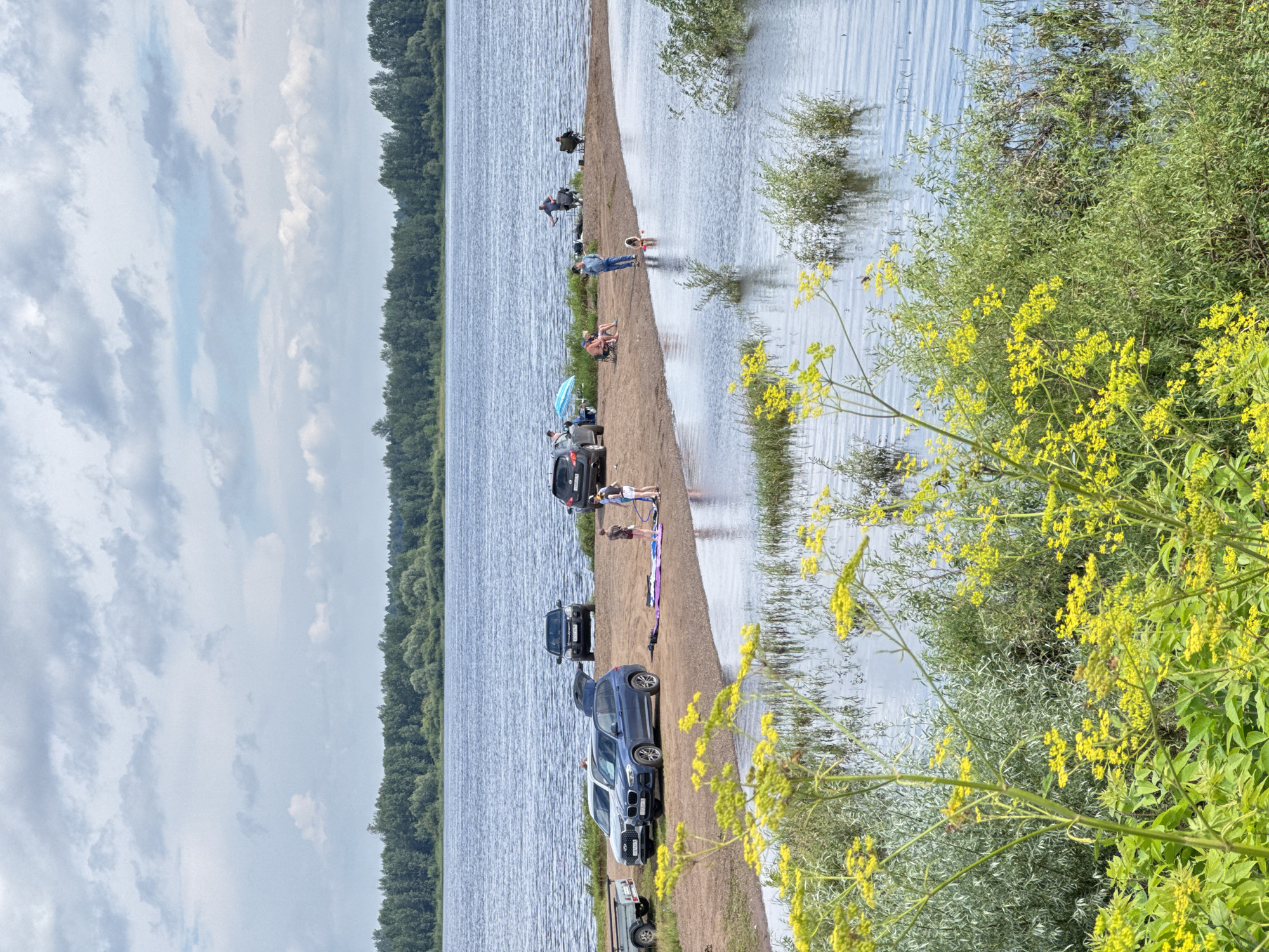The image depicts a scene along the banks of the Volga River in the village of Golyanovo, Russia. A sandy spit extends into the water, where several people are gathered. Three cars are parked on the spit, one with its trunk open. A small trailer is also visible. People are seen sitting, standing, and interacting with each other. Some are near the water's edge, while others are further inland. In the foreground, lush green foliage with bright yellow flowers is in bloom, bordering the water. The river itself is wide and calm, with a distant tree line on the opposite bank. The sky is partly cloudy, suggesting fair weather.
