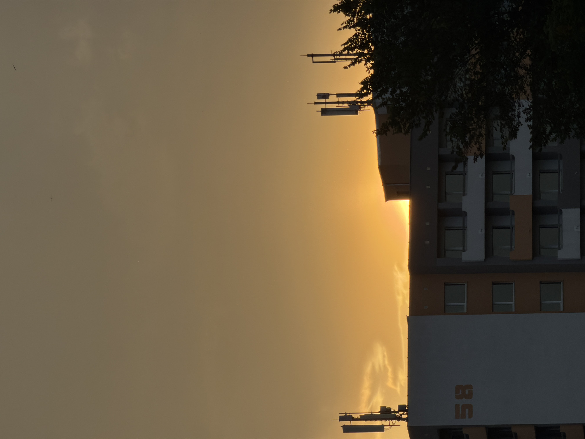 This is a photograph of a building at sunset. The sun is low on the horizon, casting a warm, golden light across the sky. The building, which appears to be an apartment complex or office building, is tall and modern, with several floors and numerous windows. A large tree with dark leaves partially obscures the top of the building, its branches silhouetted against the bright sky. On the roof of the building, there are several antennas or communication towers. The lower portion of the building features a large white panel with orange letters spelling out "BS". The scene is set in Sofia, Bulgaria. The overall mood of the image is serene and tranquil, evoking the beauty of a sunset in an urban environment. There are no people visible in the image.