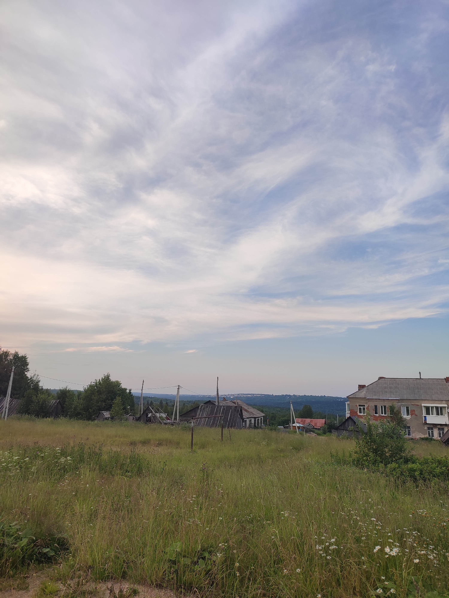 The image depicts a rural landscape scene in Gremyachinsk, Russia. In the foreground, tall, dry grass and wildflowers cover a sloping field. In the mid-ground, several wooden structures, some appearing dilapidated, are scattered amongst trees. Power lines and utility poles are visible. On the right side of the mid-ground, a multi-story building with a gray tiled roof and light-colored walls stands out. In the background, a rolling, tree-covered landscape stretches towards the horizon under a vast, cloudy sky with wisps of white and blue. There are no people or animals visible in the scene. The overall impression is one of a quiet, somewhat weathered rural village on a cloudy day.