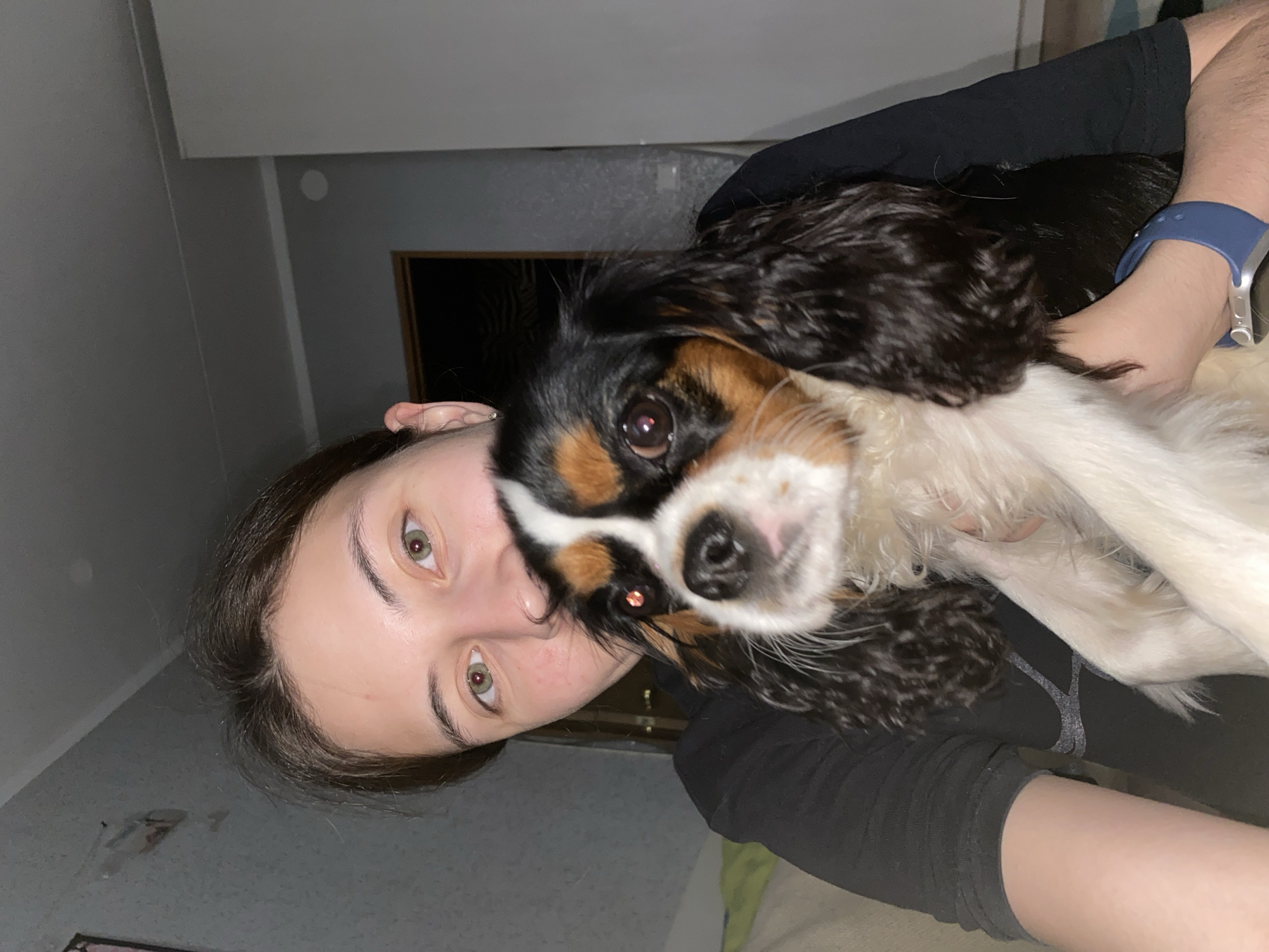 A young woman with brown hair and light brown eyes is holding a small, tri-colored dog, possibly a Cavalier King Charles Spaniel, in her arms. The dog has black, white, and brown markings on its face. The woman is wearing a black t-shirt, and a blue watch is visible on her left wrist. The background appears to be an indoor setting, with a gray wall and a doorway visible on the right. The overall lighting suggests it is nighttime or indoors with artificial lighting. The image was taken in Votkinsk, Russia.