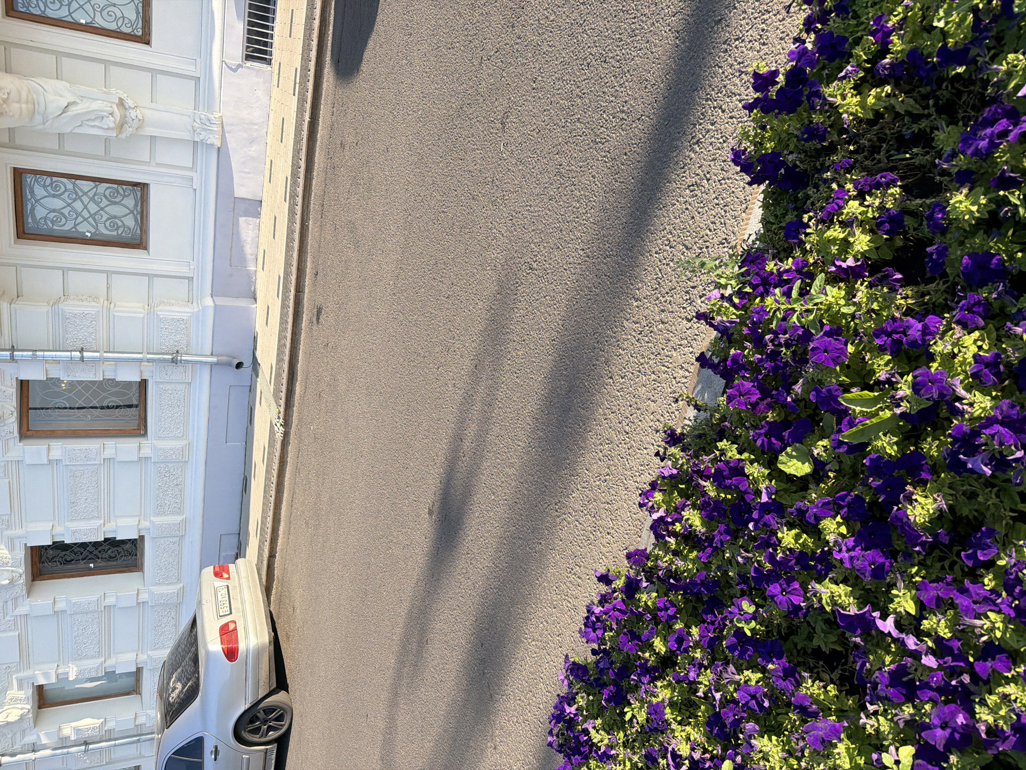 A silver Mercedes-Benz sedan is parked on the side of a paved road in front of a white building with ornate architectural details and multiple windows. A planter filled with vibrant purple flowers and green foliage is positioned along the edge of the road. The scene is illuminated by sunlight, casting long shadows across the asphalt. The license plate on the car reads "E593XO 197". The building appears to be a historical structure, possibly in an urban setting. This scene is located in Nizhny Novgorod, Russia.