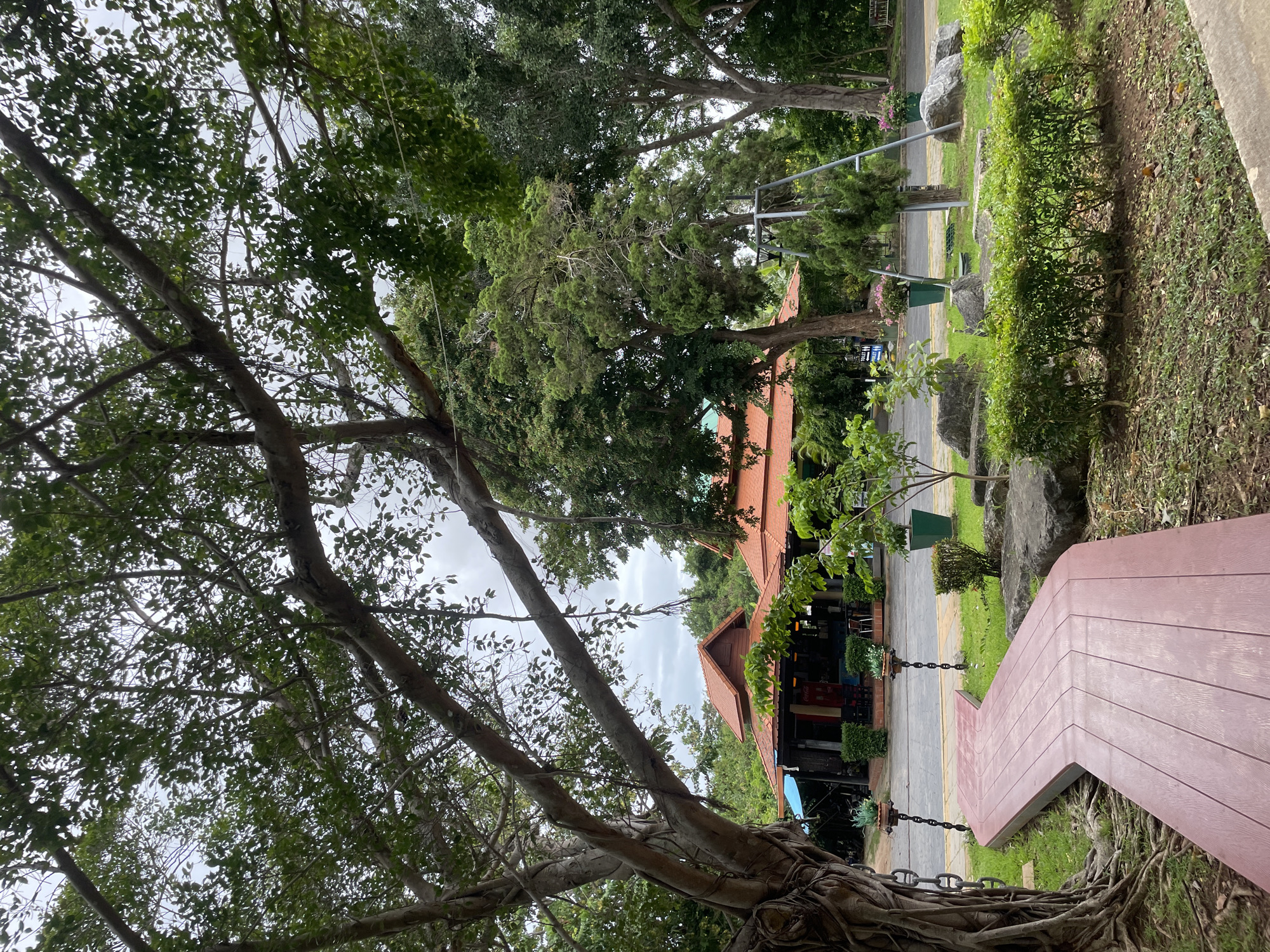 The image depicts an outdoor scene in Na Chom Thian, Thailand, featuring a curved wooden walkway leading towards a building complex with orange tiled roofs. A large tree with exposed roots is prominent on the left side of the walkway. In the background, the building appears to be a restaurant or cafe, with tables and chairs visible. The area is surrounded by lush greenery, including various trees and bushes. The sky is overcast, suggesting a cloudy day. There are no people visible in the image. The walkway is made of reddish-brown wooden planks and meanders through a grassy area with scattered rocks and potted plants. A swing set structure can be seen to the right of the walkway, further in the background.