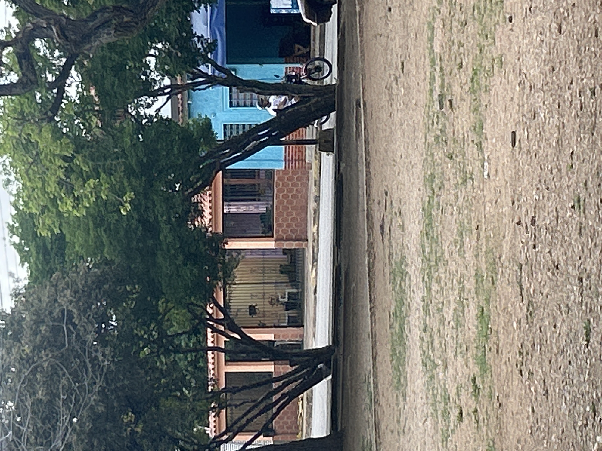 The image shows a street scene in Santa Ana, Venezuela, with a focus on a brightly painted blue building and a person riding a motorcycle. The foreground is dominated by a dry, dusty ground with sparse patches of green grass. Behind this, a paved road runs across the width of the frame.
On the other side of the road, a row of buildings is visible. To the left, a building with a terracotta-tiled roof and light pink walls is partially obscured by trees. This building appears to have a covered patio area with furniture visible behind a metal gate. To the right of this, a vibrant blue building stands out. It has a dark blue awning or overhang and visible windows.
In front of the blue building, a person is riding a motorcycle. The person is wearing a white t-shirt and a cap. The motorcycle is dark in color, with visible wheels and handlebars. The motorcycle rider is positioned between two trees, one of which is quite thick and has branches that spread across the frame. The trees are leafy and green, adding to the natural element of the scene.
Further to the right, another building with a dark blue overhang is visible. Parts of other vehicles or structures are also present in the background, but are less distinct. The overall impression is of a street in a residential or commercial area, with a blend of man-made structures and natural elements. The lighting suggests it is daytime, possibly late afternoon.
