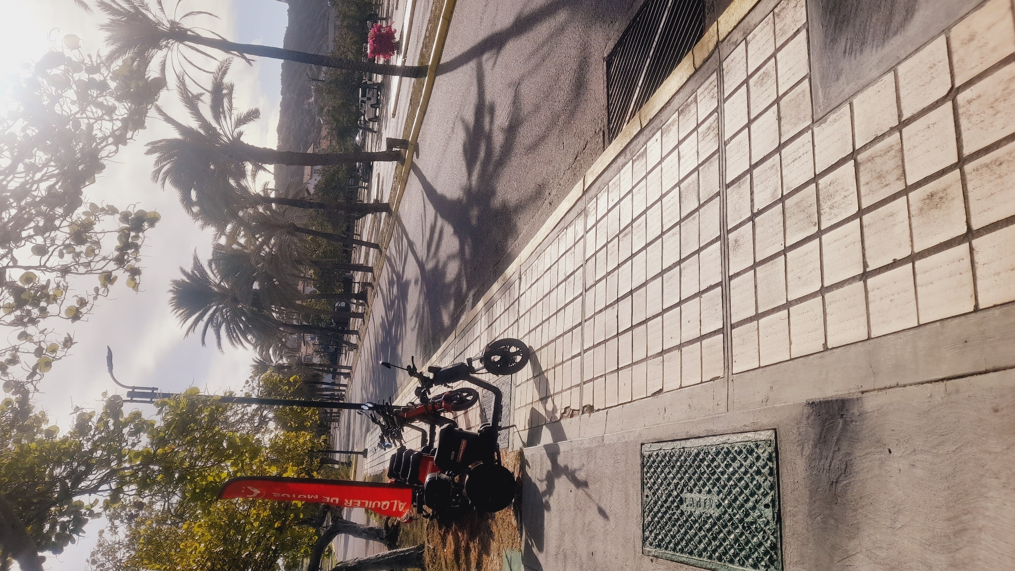 This image captures a sun-drenched sidewalk in Pedro González, Venezuela, featuring a line of parked electric scooters and motorcycles. The sidewalk is paved with light-colored square tiles that reflect the bright sunlight, creating a warm and inviting atmosphere. A red banner with white text "ALQUILER DE MOTOS" (motorcycle rental) is prominently displayed, indicating the presence of a rental service.
The background reveals a tree-lined street with tall palm trees casting long shadows on the asphalt road. Cars are parked along the side of the road, and in the distance, a hillside is visible. The sky is a pale blue, with the sun creating a slight lens flare effect in the upper part of the image. The scene is devoid of any visible people, suggesting a quiet, early morning or late afternoon setting.
The composition of the image, with the scooters parked neatly along the sidewalk, conveys a sense of order and accessibility. The overall impression is one of a pleasant, warm climate suitable for outdoor activities and transportation.