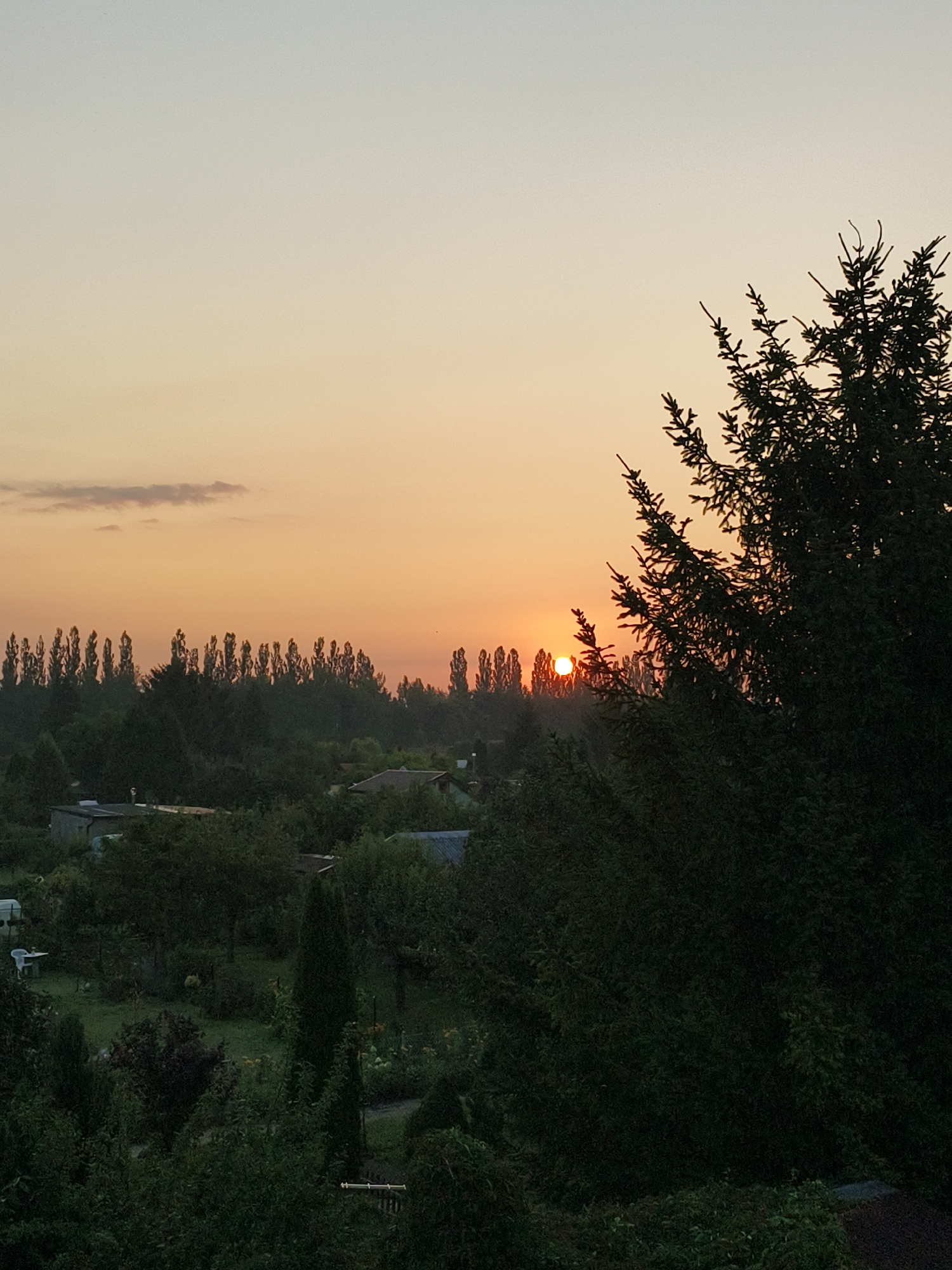 The image captures a sunset over a suburban area with lush vegetation. The sky transitions from a pale blue at the top to a warm orange hue near the horizon. A bright orange sun is visible, partially obscured by a silhouette of trees in the foreground and middle ground. These trees are dense and dark, with the sun setting behind a row of tall, slender trees lining a distant line of vegetation. The lower portion of the image reveals a garden with various trees, bushes, and some small structures, possibly sheds or small houses. In the far distance, a light gray structure with a darker roof is visible, suggesting buildings. The overall scene is one of natural beauty and tranquility at dusk in a green, developed area.