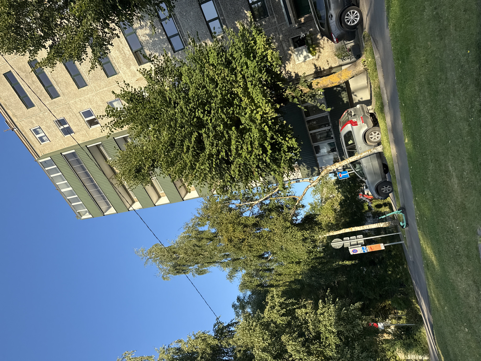 A sunlit street in Tallinn, Estonia features a tall, multi-story apartment building with a green-paneled upper section and a textured concrete facade. Several trees, including birch and leafy varieties, are positioned in front of and beside the building. A grey SUV and a dark crossover are parked on the street. A green electric scooter rests on the pavement near a set of traffic signs, one of which displays a blue prohibition symbol. The sky is clear and blue, and the sun casts shadows on the building and the grass.