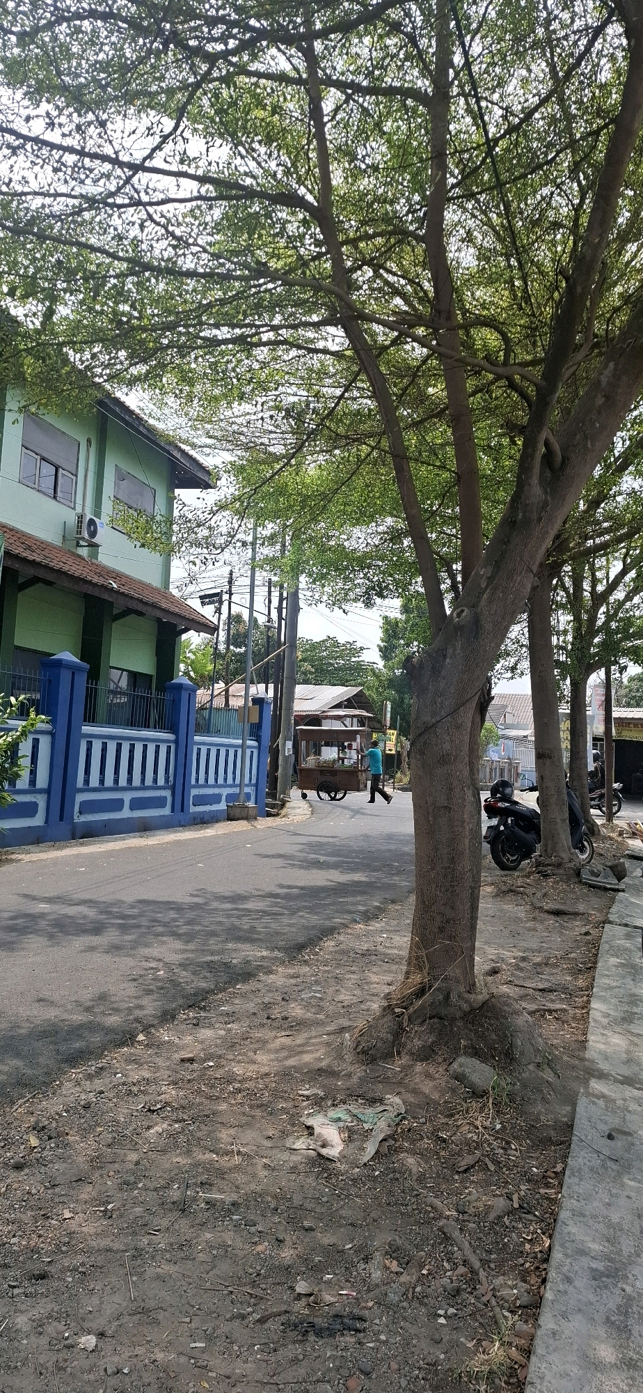 The image depicts a street scene in Baturan, Indonesia, on a bright day. In the foreground, a large tree trunk dominates the right side of the frame. The street is paved and shows signs of wear, with a dirt and gravel shoulder to the right, littered with debris including plastic sheeting and small rocks.
To the left, a pale green building with a brown tiled roof is visible, bordered by a blue and white striped fence. The building has several windows and an air conditioning unit is mounted on the wall.
Further down the street, a man in a blue shirt is pushing a wooden cart with wheels. The cart appears to be a food or refreshment vendor. In the background, more buildings with corrugated roofs are present, along with utility poles and wires. Several motorcycles are parked along the right side of the road. The overall environment suggests a residential or semi-commercial area with a mix of vegetation and infrastructure.