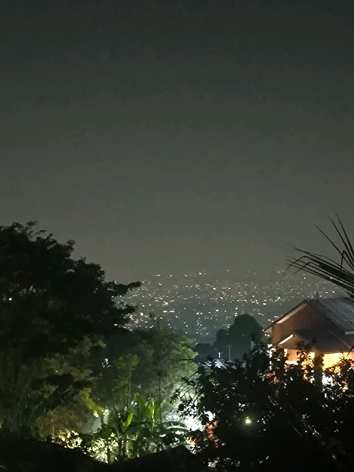 The image depicts a nighttime view of a city spread out below a dark, hazy sky. In the foreground, silhouetted trees and foliage obscure parts of the scene. To the right, the corner of a building with a sloped roof is visible, illuminated by warm interior lights. The city lights twinkle in the distance, suggesting a vast urban landscape. The overall atmosphere is dark and somewhat diffused, with a lack of clear details due to the low light conditions.