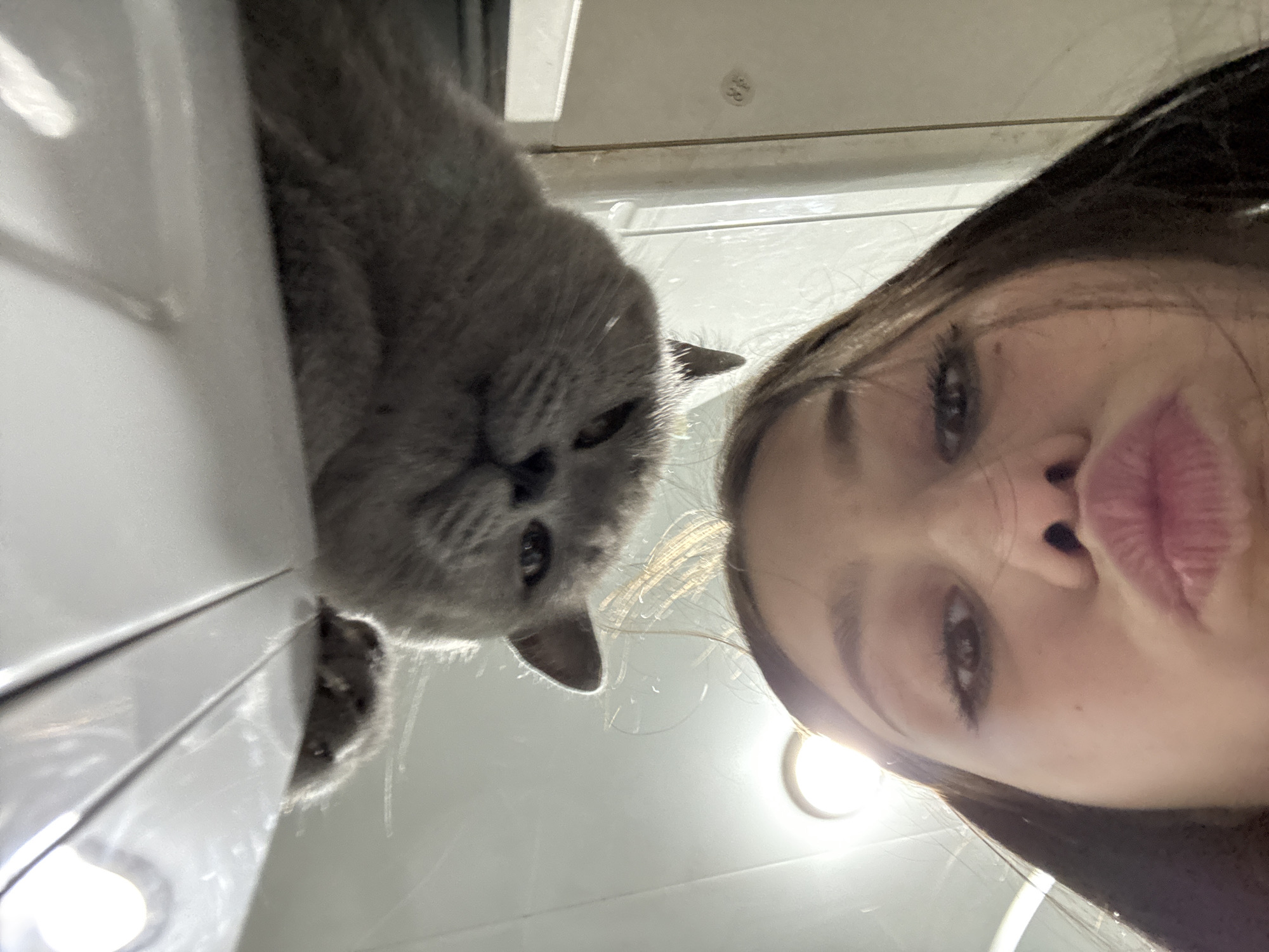 A low-angle selfie shows a young woman with dark hair pulled back from her face, pursing her lips. To her left, a gray cat peers down at the camera, its face filling the frame. A second cat is partially visible behind the first, near a white, curved surface. The background is a white wall or ceiling. The location is indeterminate.