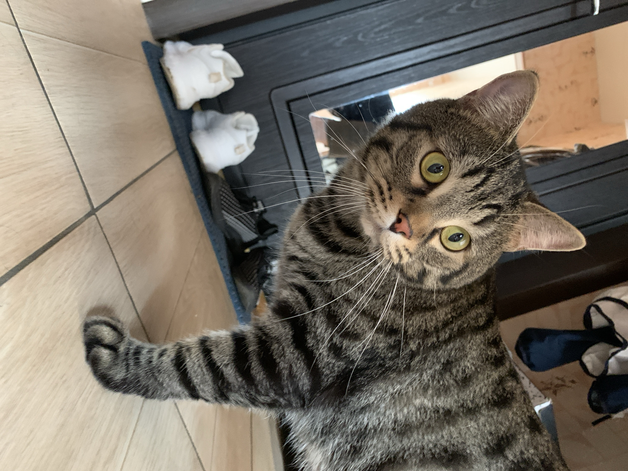 A tabby cat with green eyes is looking directly at the camera, with its right paw extended towards the lower left corner of the image. The cat is positioned near a black cabinet or shelf unit, which has a reflective surface. Two white objects are visible on top of the cabinet. The floor is tiled with light-colored rectangular tiles. The scene appears to be indoors. The location cannot be determined from the image.