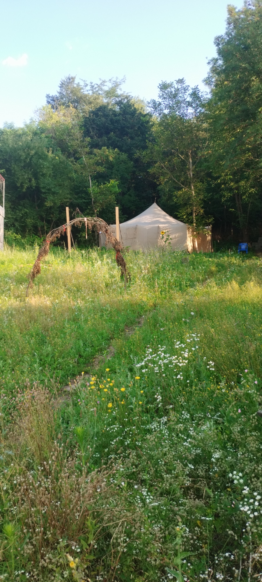 A canvas bell tent is situated in a grassy field surrounded by trees. An archway made of dried branches stands in the foreground, with a path winding through the wildflowers toward the tent. A blue chair is visible to the right of the tent. The sky is clear and blue. The scene suggests an outdoor camping or glamping setup in a natural setting.