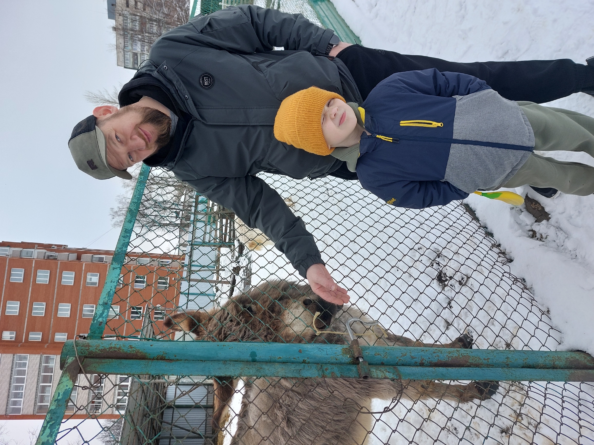 The image shows a man and a young boy standing next to a metal fence in what appears to be a snowy, urban environment. They are interacting with a donkey or horse inside the enclosure. The man is wearing a dark jacket and a baseball cap, and has a beard. He is reaching his hand towards the animal. The boy is wearing a blue jacket with grey accents and a bright yellow hat. The animal is brown and grey, and part of its body is visible through the fence. Behind the fence is a building, suggesting an urban or suburban location. The presence of snow on the ground indicates a cold season. The photo was taken in the city of Chaikovsky, Russia.