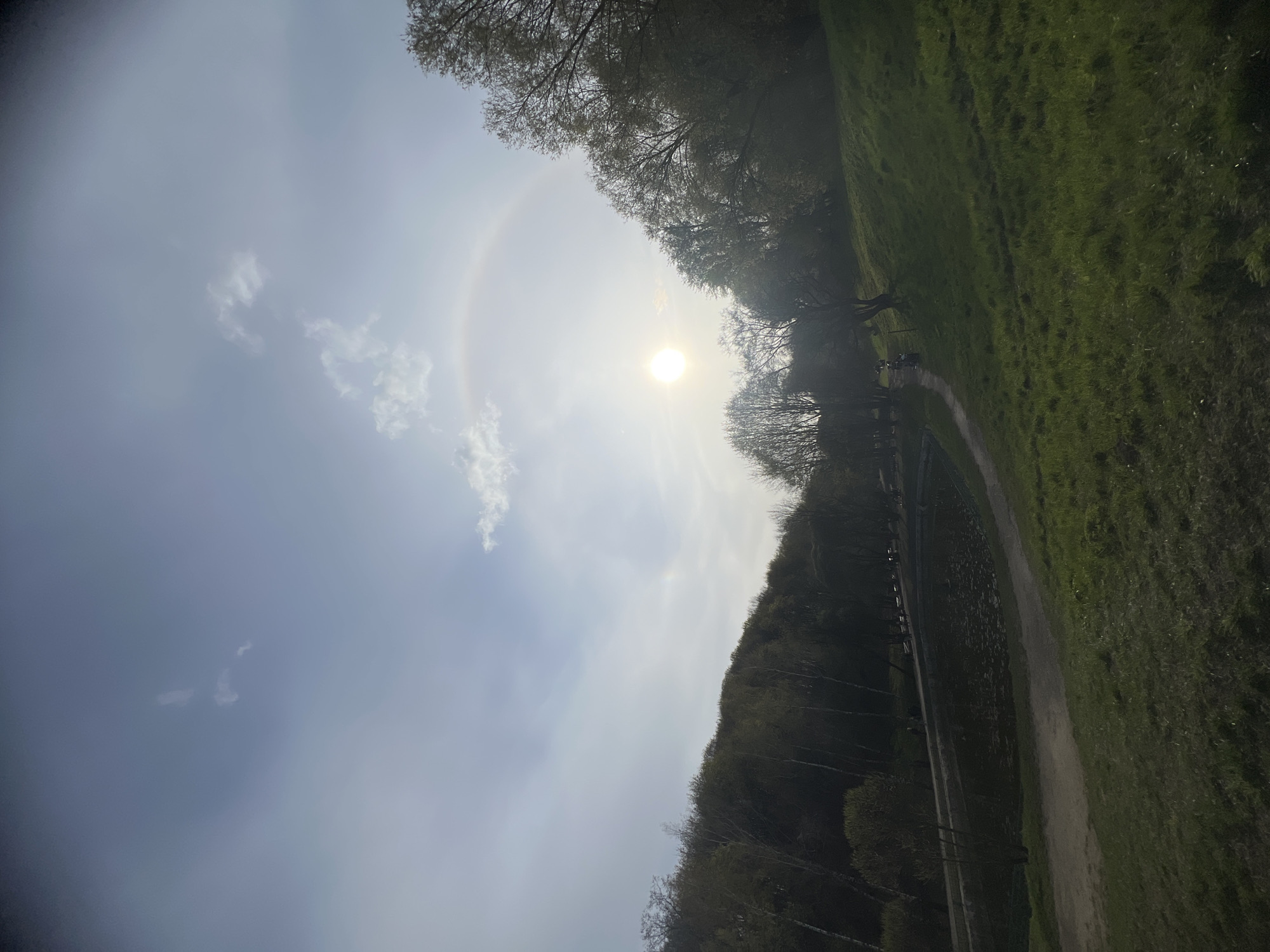 The image captures a natural scene, likely a park or wooded area. The sun is positioned in the sky, surrounded by a faint halo effect. The sky itself is light blue with scattered clouds. A walking path curves through the landscape, bordered by trees and grass-covered areas. The presence of trees suggests a natural or semi-natural setting, and the path indicates human interaction with the environment. The image is taken at an angle, and a small group of people can be seen in the distance along the path. Based on the presence of trees, grass, and a walking path, it is likely a park-like area, although the precise location in Moscow is not identifiable from the visual elements.