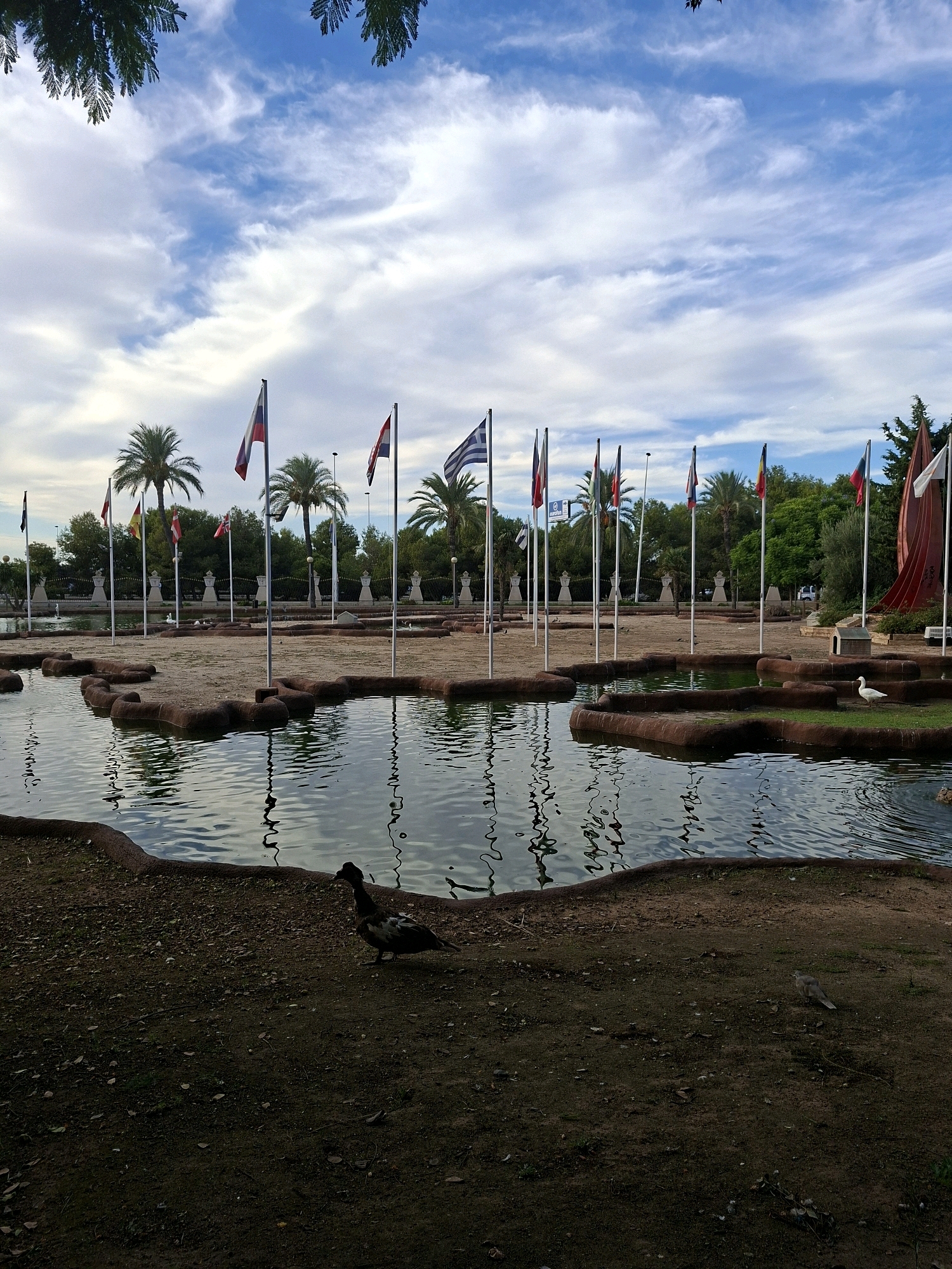 This is a full-shot, eye-level, outdoor, vertical photograph taken in Torrevieja, Spain, depicting a decorative pond with islands and numerous national flags displayed on poles. The pond's edge is lined with a reddish-brown material, and the water's surface reflects the sky and flags. The islands are covered with sand and some vegetation. In the foreground, a dark-colored duck walks on the gravelly ground near the pond. In the background, palm trees and other greenery are visible, along with structures that appear to be decorative urns on pedestals. The sky is blue with scattered white clouds, and the overall lighting suggests it is daytime. The scene evokes a park or garden setting.