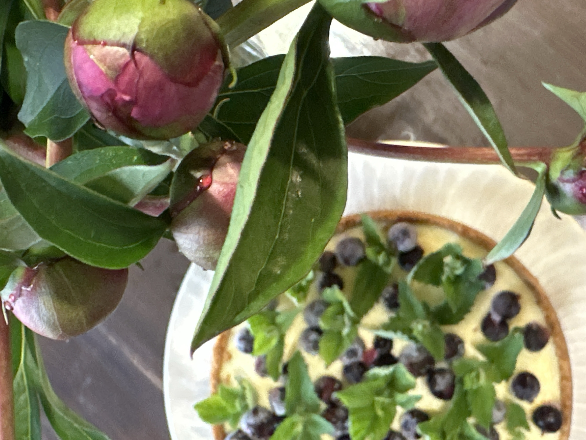 The image displays a close-up, elevated perspective of a still life composition featuring a floral arrangement and a dessert. In the foreground and right half of the frame are several un-bloomed peony buds with their associated dark green leaves. A prominent bud on the upper right exhibits vibrant pink and green coloration, indicating the flower is close to opening. Another smaller bud in the center-left shows purple-green tones and a distinct red droplet, possibly nectar, on its surface. Green foliage partially obscures the background and contributes to the depth of field. In the background, positioned to the left, is a round dessert, likely a tart or cheesecake, with a creamy yellow filling and a golden-brown crust. It is generously topped with numerous dark, spherical berries, consistent with blueberries or blackcurrants, and garnished with multiple small sprigs of fresh green mint leaves. The dessert rests on a light-colored, possibly white, plate or dish, which is situated on a darker surface, possibly a wooden tabletop. The scene is presented with soft, natural lighting, suggesting an indoor setting. The location is in the city of Chaikovsky, Russia.