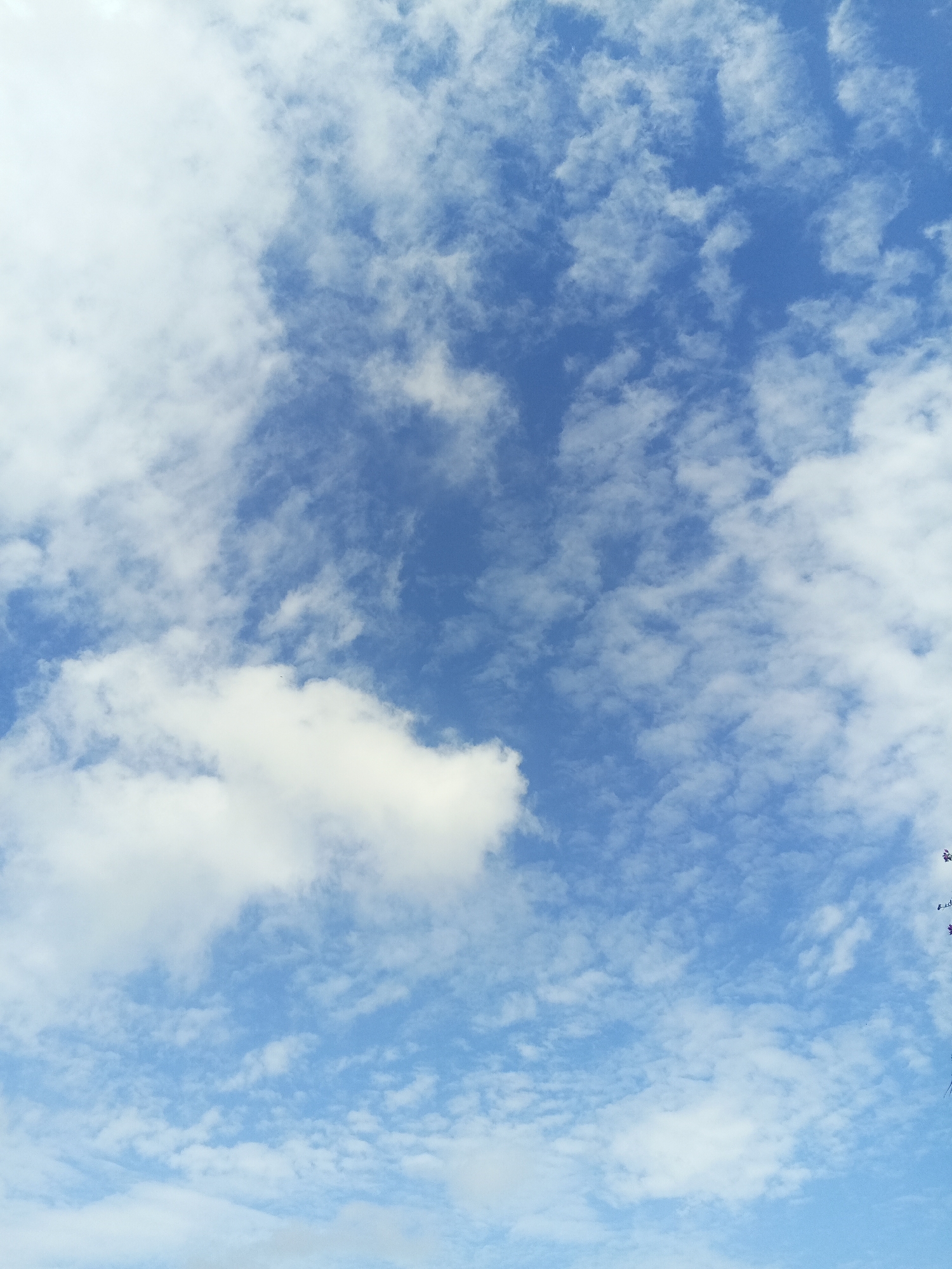 This is a sky photograph taken in Altagracia, Venezuela. The image features a bright blue sky with scattered white clouds. The clouds vary in size and density, with some appearing thin and wispy, while others are more defined and fluffy. There are no discernable people, subjects, or specific objects in the frame other than the clouds and sky itself. The overall impression is of a clear, sunny day.