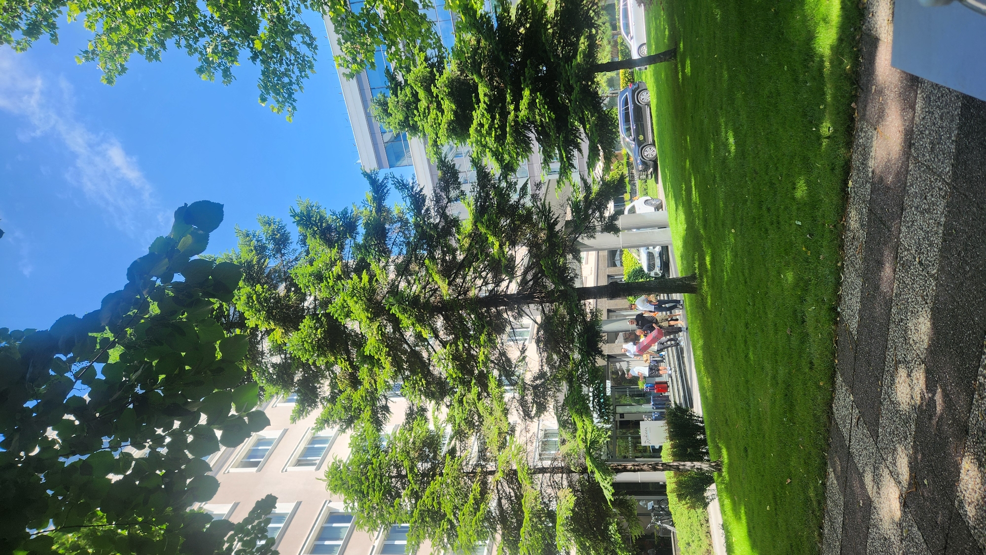 The image shows an exterior shot in Plovdiv, Bulgaria, featuring a sidewalk bordering a grass area. Tall trees line the grass. Behind the trees is a building with multiple windows. People are gathered near the building's entrance. Cars are visible parked along the street. The sky is blue with some clouds. The sun is shining.