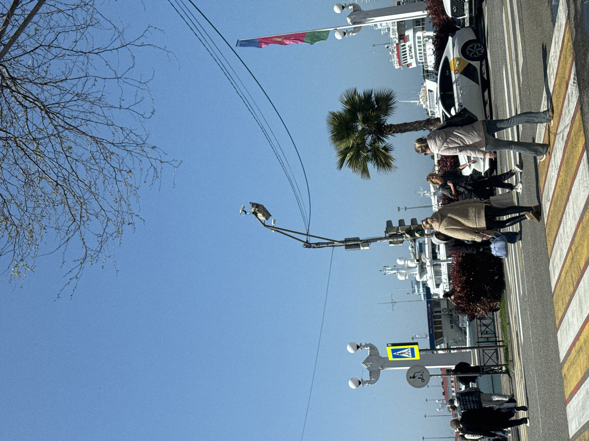 This image depicts a sunny day in an urban setting, likely a port or marina, with pedestrians, vehicles, and boats. The perspective is from street level, looking towards a waterfront.
In the foreground, a bare tree with delicate branches extends into the upper left quadrant against a clear blue sky. Utility lines stretch across the sky. On the ground, a wide crosswalk with white and yellow stripes is visible, with several people using it or standing nearby. A woman in a light jacket and jeans, carrying a black bag, is walking on the crosswalk. Another person in a beige coat is also on the crosswalk, and several other individuals are visible further down the sidewalk.
A white car, possibly a taxi with yellow markings, is parked or driving on the street. A bright green palm tree stands near the roadside. Prominent street furniture includes a traffic light pole with multiple signals and a pedestrian crossing sign (blue square with a white triangle and black pedestrian icon). Another circular sign features a scooter symbol, with the Russian word "PROKAT" (rental) written on it.
In the background, several large white boats or yachts are docked in what appears to be a marina. A flag with red, green, and possibly purple or blue stripes flies from a mast on one of the vessels. Shadows are cast by the people and objects, indicating bright sunlight. Text on the side of one boat appears to be "AITOMNC" when read as if the image were right-side up and mirrored, suggesting a reflection or reversed writing. A car's license plate, partially visible, contains the regional code "123RUS", which corresponds to Krasnodar Krai, where Sochi is located. The overall atmosphere is that of a bustling port city on a clear day.