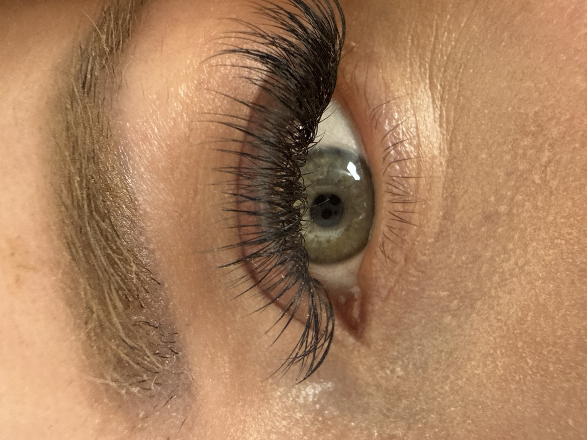 The image presents a highly magnified, close-up, frontal-side view of a single human eye and the surrounding facial skin. The specific location, city, or environment of the subject is not discernible from the provided image, as it is a highly magnified close-up.
The eye features a light green to hazel iris with a distinct dark, dilated pupil. A prominent reflection of a light source is visible on the surface of the cornea, located towards the lower-inner quadrant of the iris. The upper eyelid displays a dense application of long, dark, and curled eyelashes, consistent with false eyelashes or heavily made-up natural lashes. Several small white particles, possibly specks of powder or makeup, are present on various individual eyelash strands.
Above the eye, a segment of a shaped eyebrow is visible, characterized by light brown or blonde hairs, with some shorter, darker stubble visible at the inner corner. The surrounding skin exhibits a light-to-medium skin tone with visible pores and texture. There are areas with fine lines, particularly beneath the eye. Numerous small, light-colored particles, resembling dry skin flakes or cosmetic powder, are scattered across the upper eyelid, beneath the eye, and on the upper cheek/forehead area, giving the skin a textured, somewhat dry appearance in places. The lighting appears direct, highlighting the skin's texture and creating distinct reflections. No actions, interactions, or additional subjects are depicted.