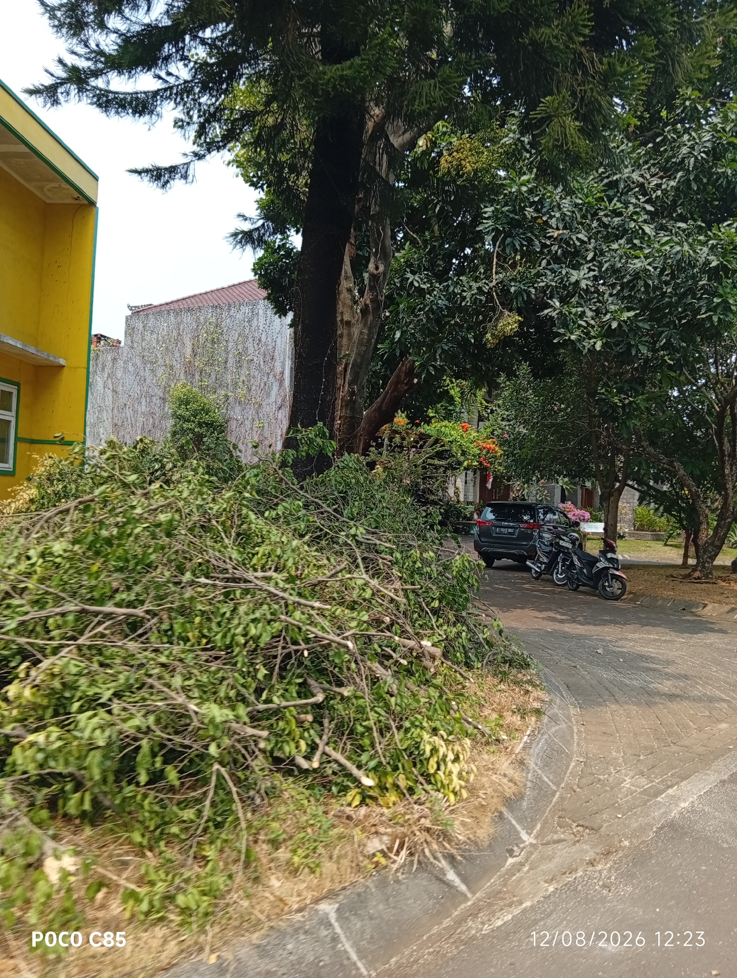 The image depicts a street scene in South Tangerang, Indonesia. A large pile of freshly cut branches and leaves occupies the foreground, lying on dry grass and the edge of a paved pathway. To the left, a bright yellow building with a green trim is partially visible, showing a window and part of its facade. Behind the pile of branches, a grey vehicle is parked on the pathway, alongside two motorcycles. The pathway itself is constructed of interlocking paving stones and appears to be curving. Mature trees with dense green foliage are prevalent throughout the scene, casting shadows. In the background, a building with a white, ivy-covered wall and a terracotta roof can be seen. The sky is clear and bright. A timestamp in the lower right corner reads "12/08/2026 12:23", and "POCO C85" is visible in the lower left corner.
