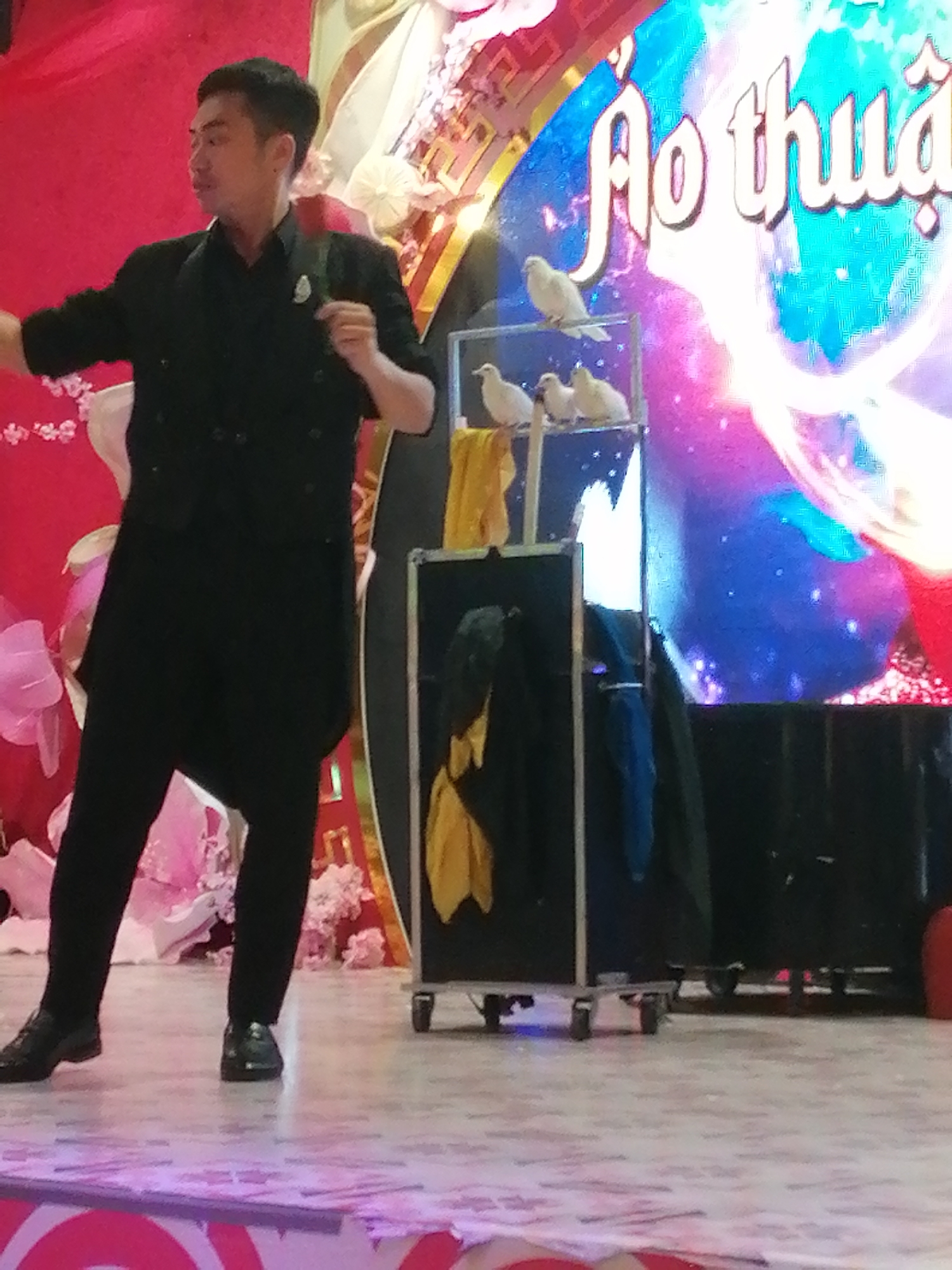 The photograph, taken in Hong Gai Ward, Vietnam, depicts a man in a black suit performing magic on stage. He is standing in front of a black cabinet on wheels, upon which are several white doves perched on a metal frame above the cabinet. To the right of the magician and the cabinet is a screen showing the word "Aothuat". The stage is decorated with pink and white flowers, and the floor is pink and white.