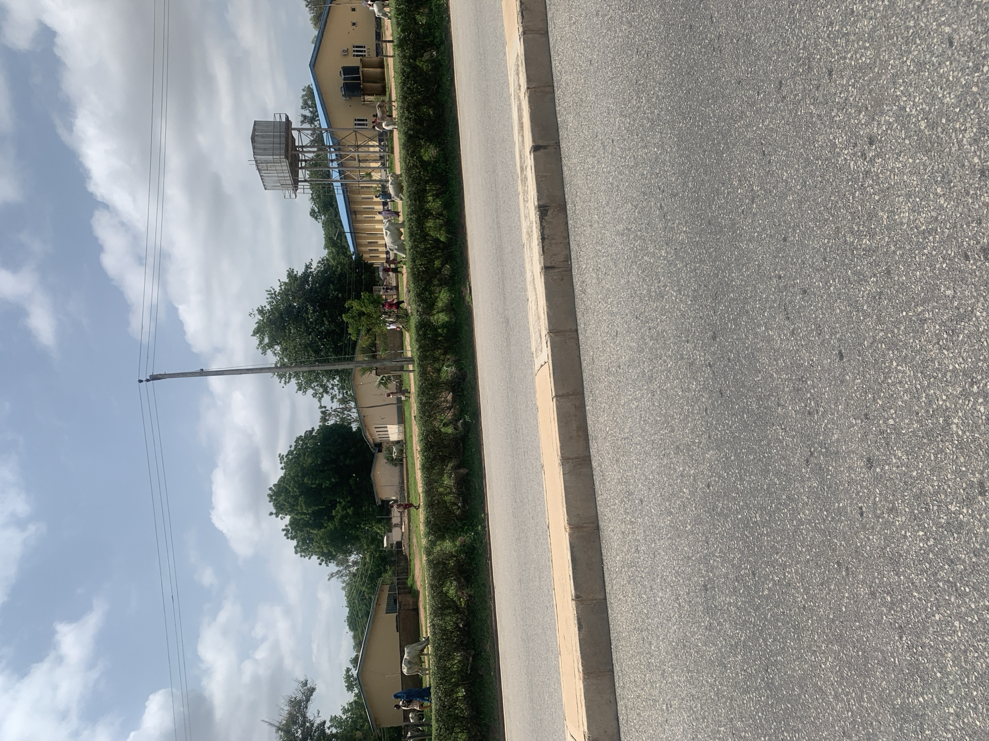 The image depicts a scene on a road in Jalingo, Nigeria, with buildings and vegetation in the background. A paved road occupies the foreground, with a concrete curb separating it from a grassy area. Beyond the grass, a line of neatly trimmed bushes forms a hedge. Several cows are grazing or standing in the area behind the hedge. To the right, a tall water tower stands next to a long, yellow building with a blue roof. Other buildings, appearing to be single-story structures, are visible further back, interspersed with trees. Several people, including some appearing to be children, are scattered in the background, some near the buildings and others near the cows. Overhead power lines are visible against a sky with scattered clouds. The overall impression is a semi-urban or rural setting, possibly a school or institutional campus given the water tower and uniform buildings.