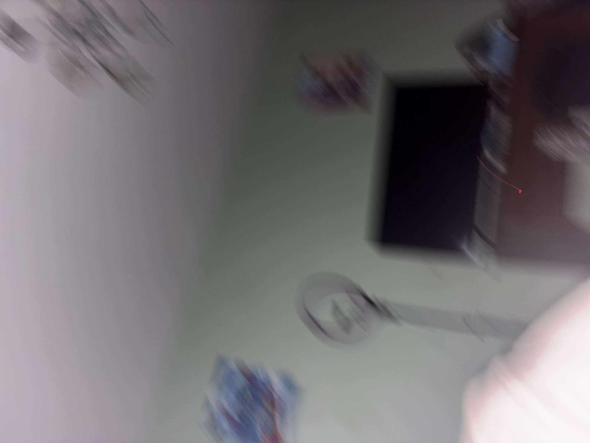 The image is blurry and appears to be taken from a moving perspective. Several objects are visible, though indistinct: a mobile phone, a spoon, what may be two photographs or framed pictures, and indistinct shapes that could be parts of the person holding the camera. The environment is not clearly discernible, and there is no information to confirm the image's location as Saint Petersburg, Russia.