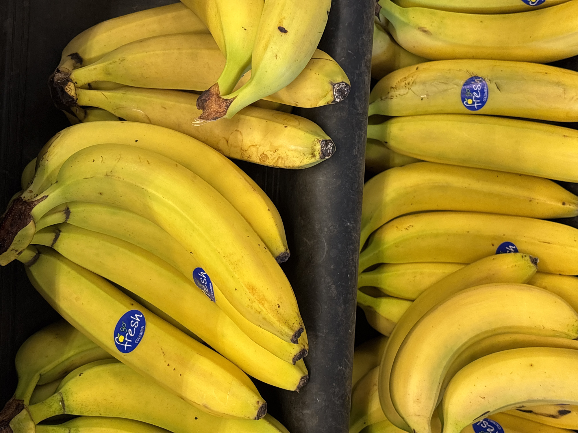This media file is a close-up, overhead shot of a large bunch of ripe yellow bananas. The bananas are arranged in a display, likely in a grocery store or market. They are mostly uniform in color, with a few small brown spots, indicating ripeness. Some of the bananas have blue and white circular stickers that read "go fresh COLOMBIA." The bananas are situated in what appears to be a dark bin or container, possibly plastic, with a black vertical divider separating them. The lighting is bright and even, suggesting an indoor setting during daylight hours. There are no people visible in the image, and the focus is entirely on the fruit. The overall impression is one of fresh produce ready for purchase. The image has been cropped and zoomed in to highlight different sections of the banana bunch, emphasizing their texture and color. The location context provided is Søborg, Denmark, which, combined with the visual cues, suggests this is likely a produce section of a supermarket in that area.