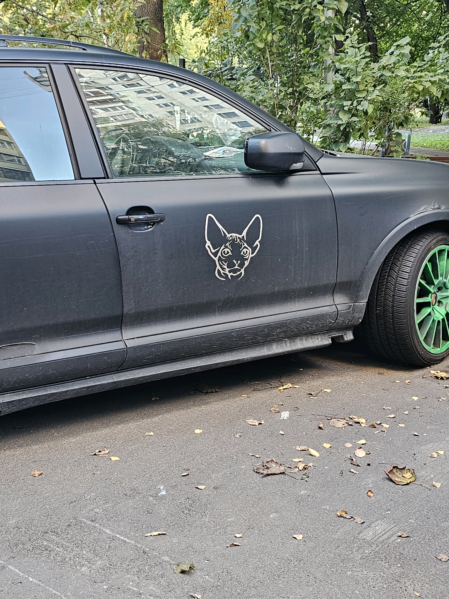 The image shows a matte black car parked on a paved surface, likely a street or parking lot, in Khimki, Russia. The car has a white sticker of a Sphynx cat's head on its front passenger door. The car's wheels have bright green rims. Fallen leaves are scattered on the ground around the car, suggesting it is autumn. In the background, there are trees with green foliage and a building with many windows, indicating an urban environment. The car is seen from the side, focusing on the door and wheel.