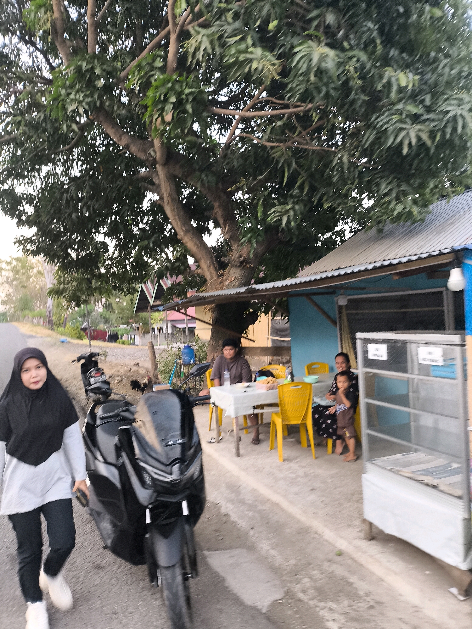 In a scene set on a roadside in Unknown, Indonesia, a woman wearing a black hijab and a light gray tunic walks beside a black scooter. She is positioned on the left side of the image, facing slightly towards the viewer. Behind her, a large tree with dense foliage dominates the upper portion of the frame, with its branches extending over a small blue building.
Underneath the tree, a table is set with white tablecloths and yellow chairs. Several people are seated at the table: a man in a brown shirt is on the left, and a woman with a child on her lap is on the right. The woman and child are looking towards the viewer. A glass display cabinet with metal shelving is situated to the right of the building. The ground is a mixture of asphalt and dirt, with some scattered vegetation and debris. In the background, houses and trees are visible, suggesting a rural or semi-urban environment. The lighting indicates it is likely late afternoon or early evening.